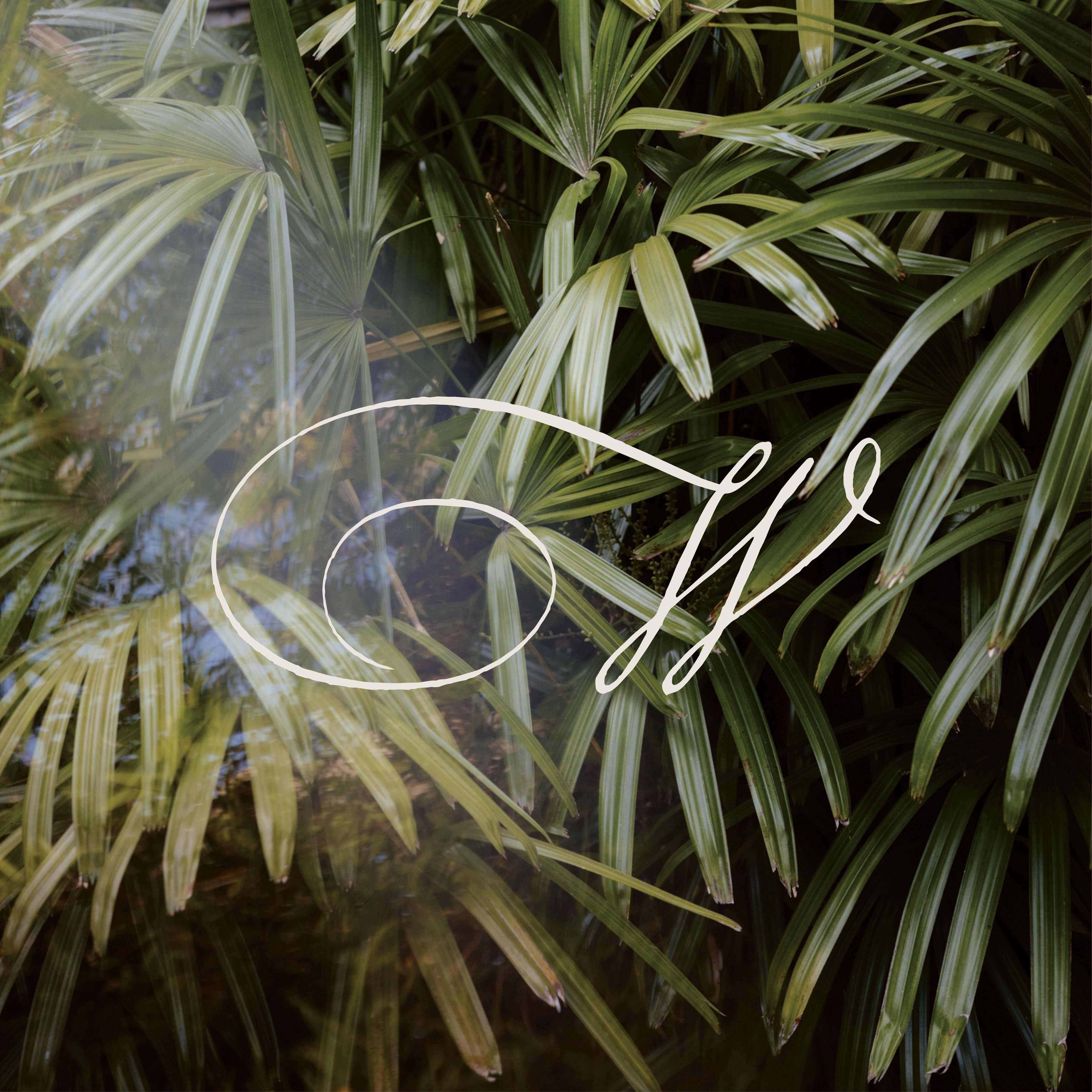 HIGH SUMMER