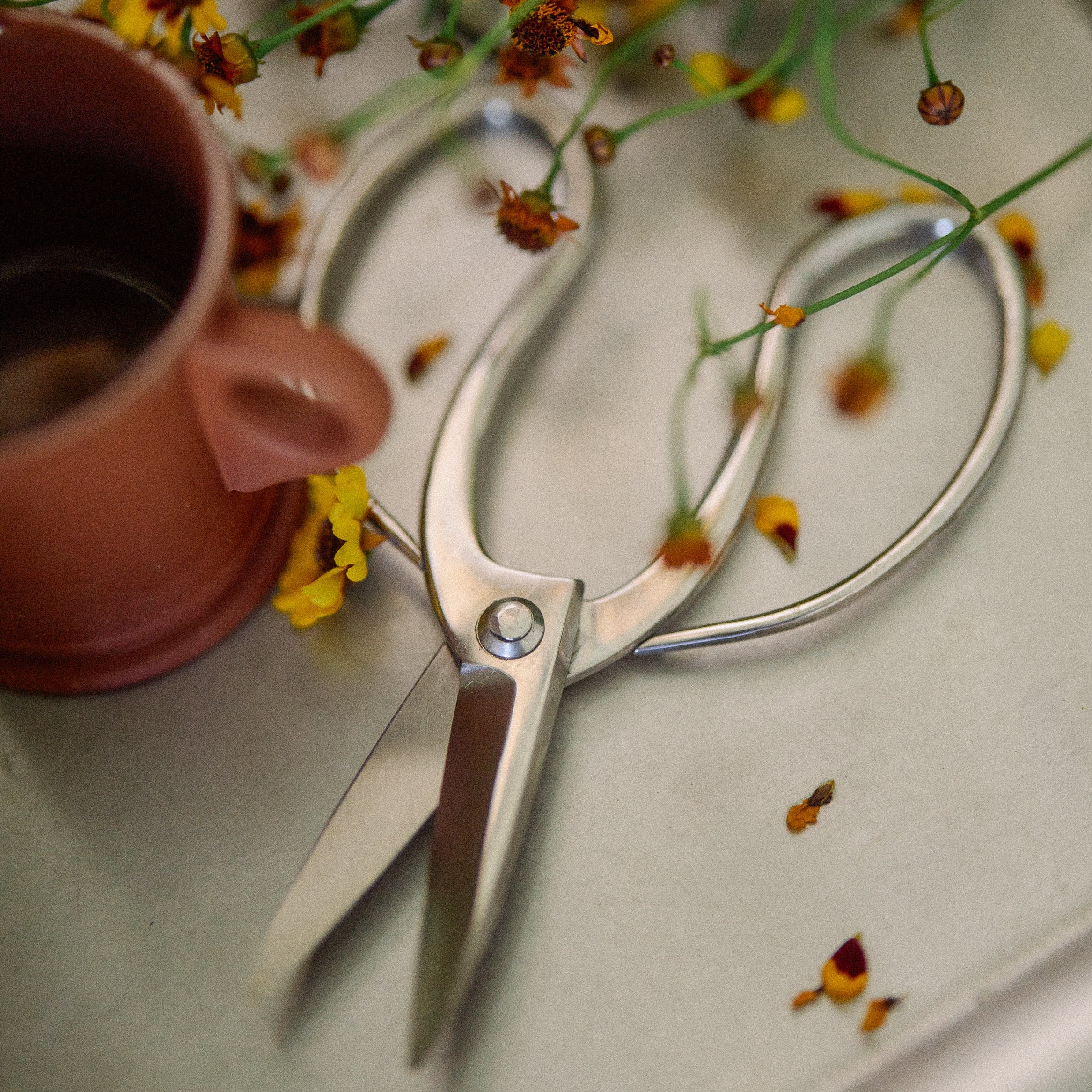 T12 Okubo Garden Shears in Silver