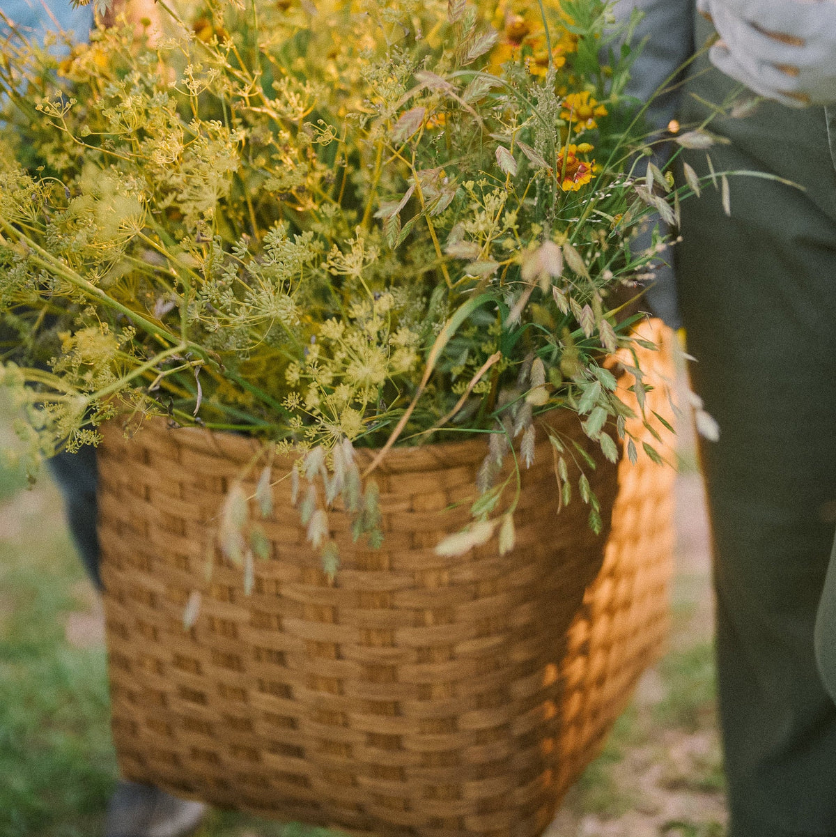 Large Throw Basket