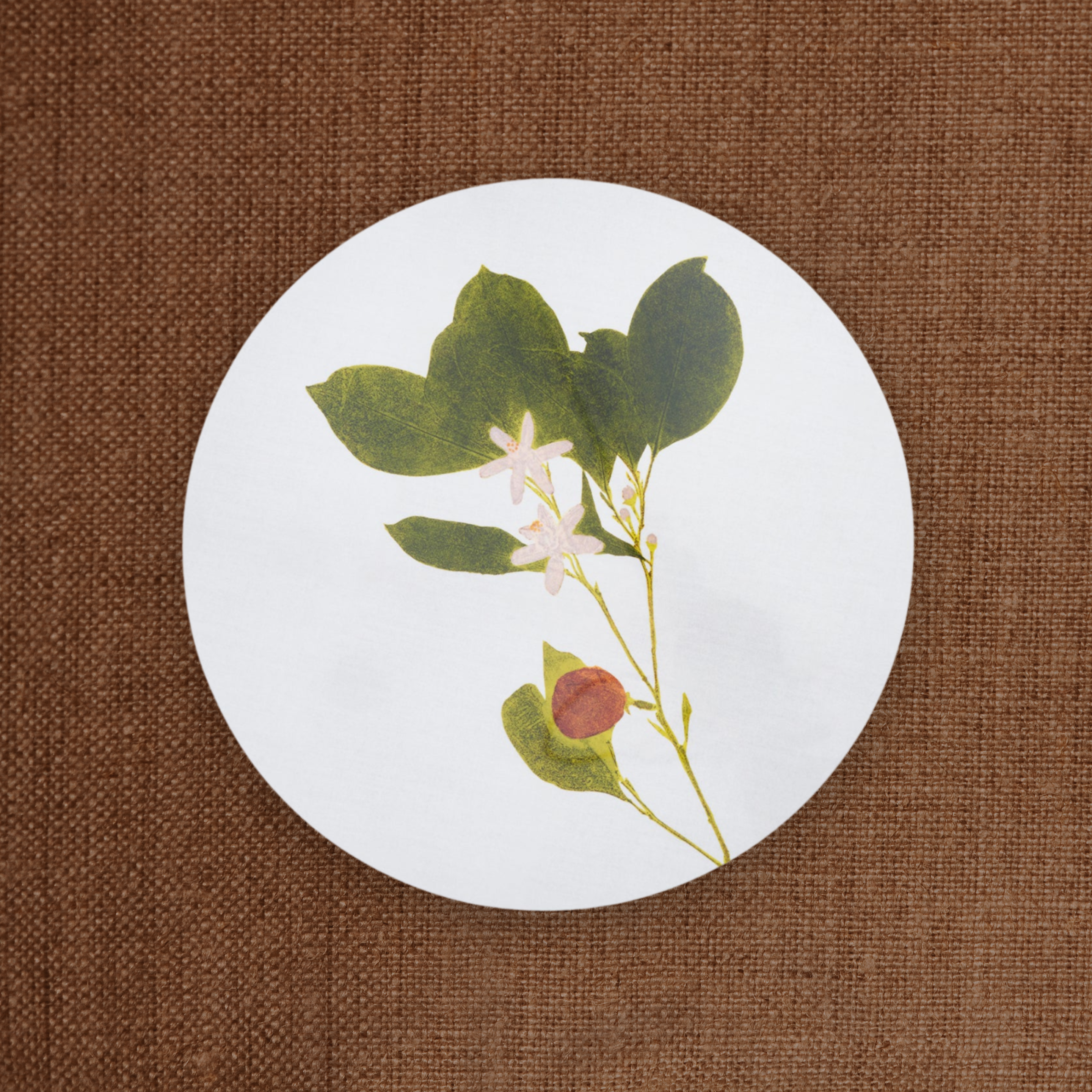Tisane Herb Placemats, Set of Six