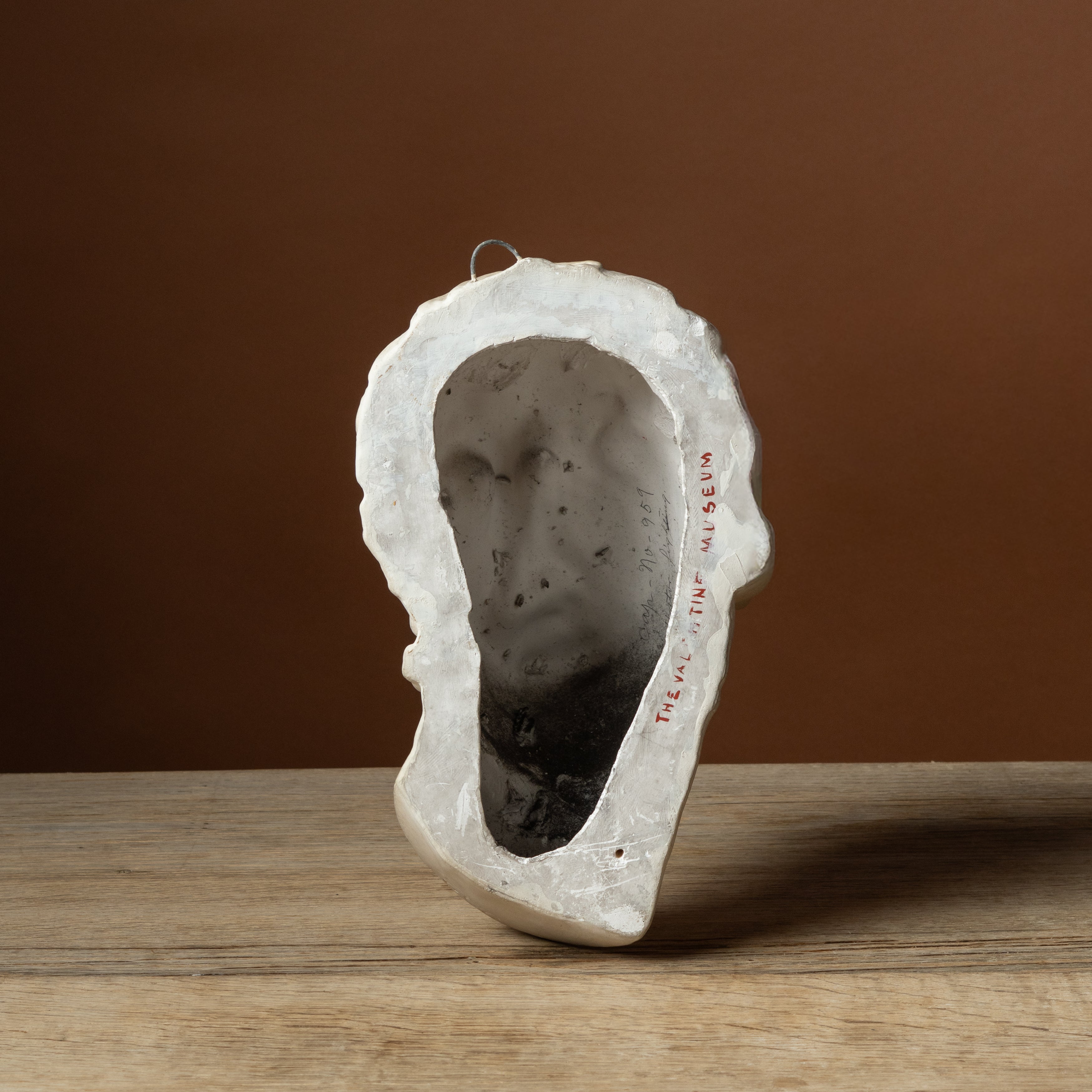 Plaster Cast of Borghese Gladiator Head