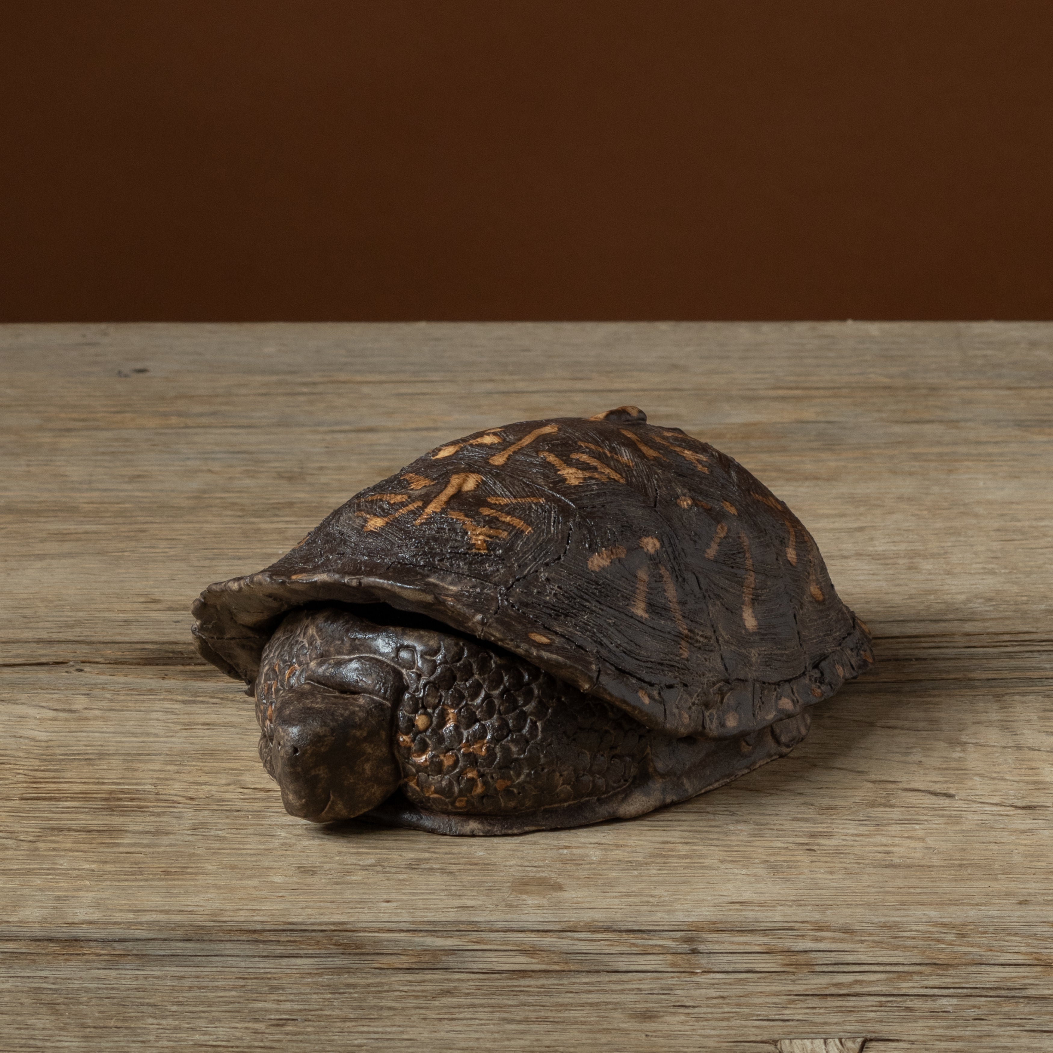 Box Turtle Butter Dish