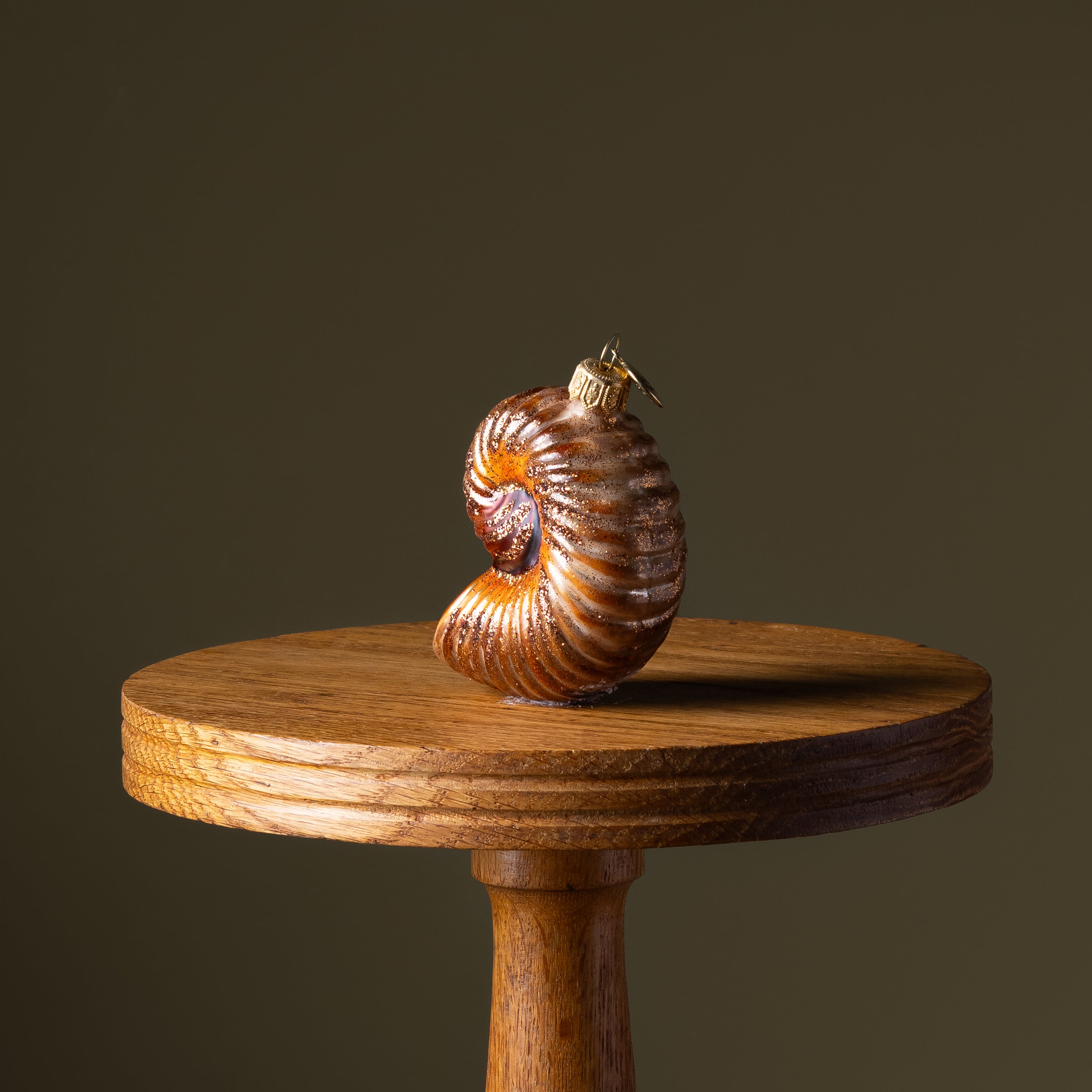 Tortoise Nautilus Shell Glass Ornament