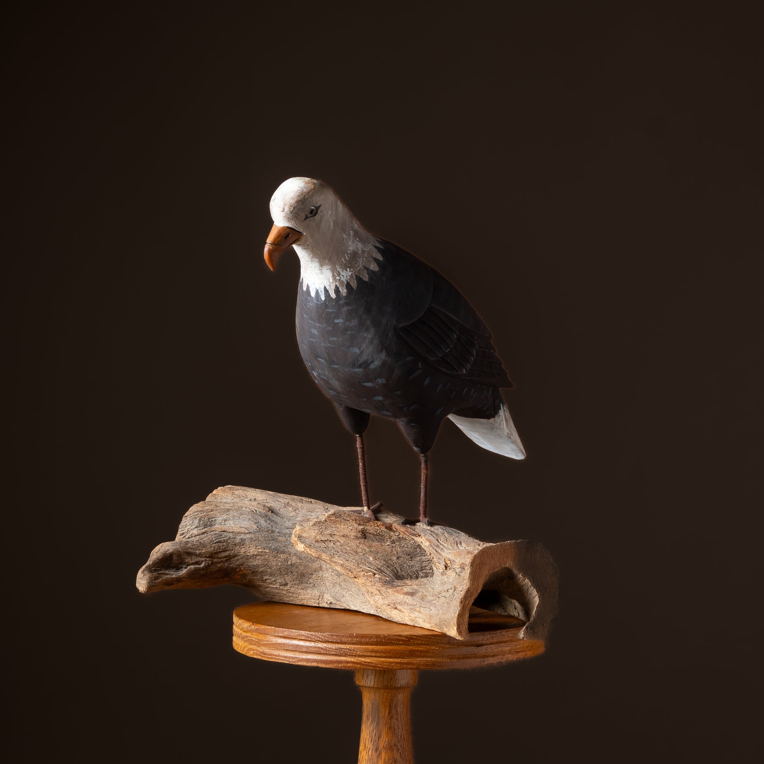 American Folk Art Carved Eagle with Painted Plumage