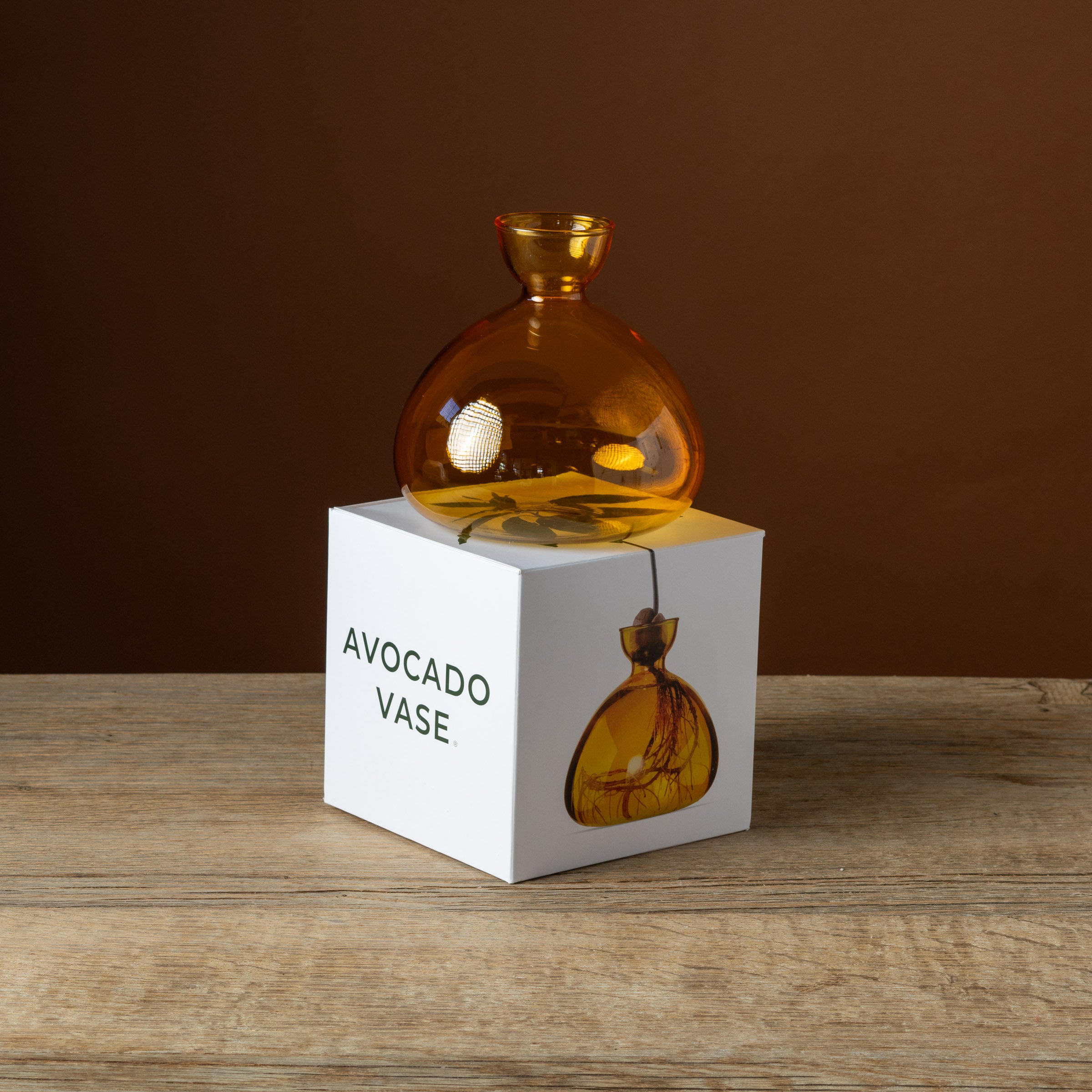 Avocado Vase Mellow Yellow