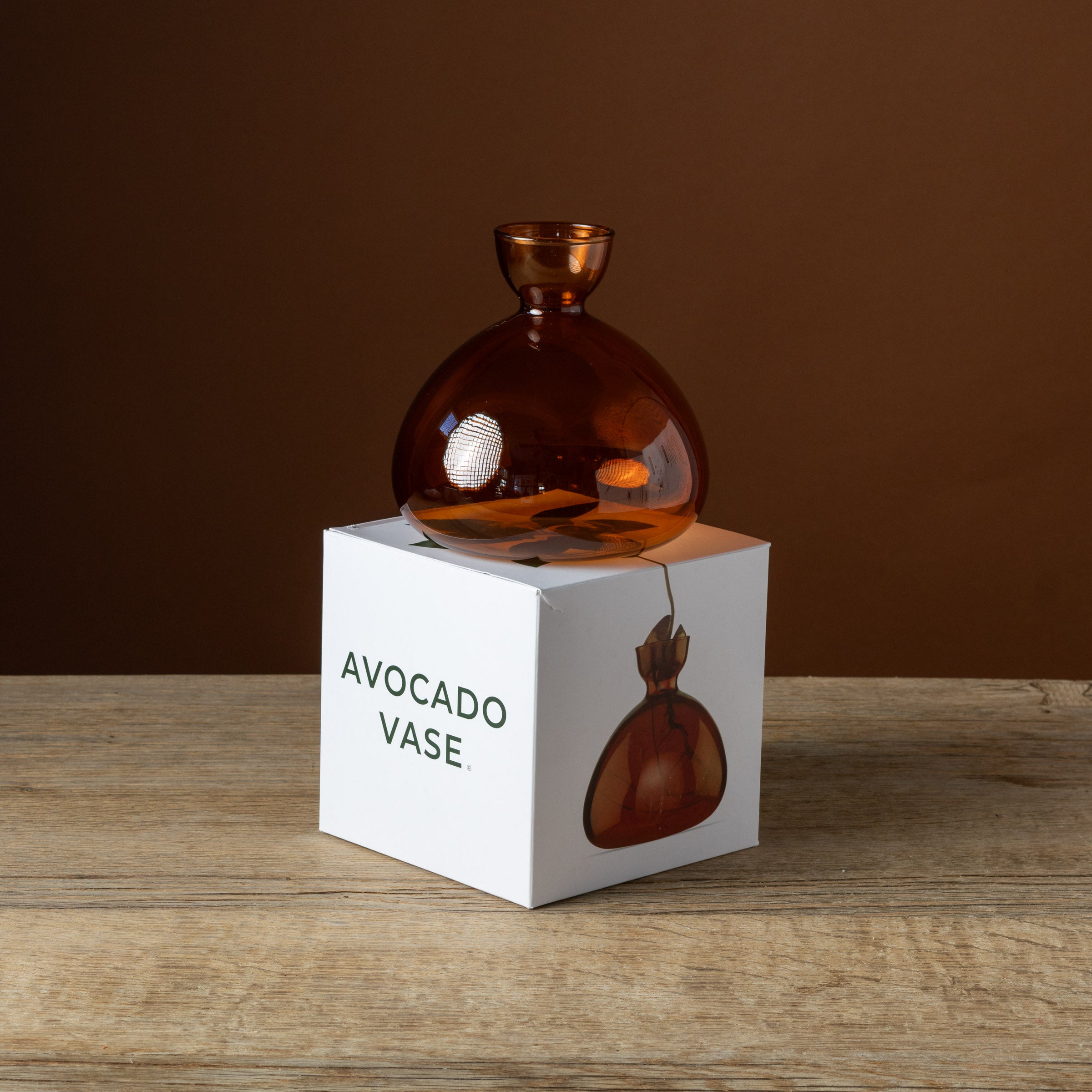 Avocado Vase Russet Brown