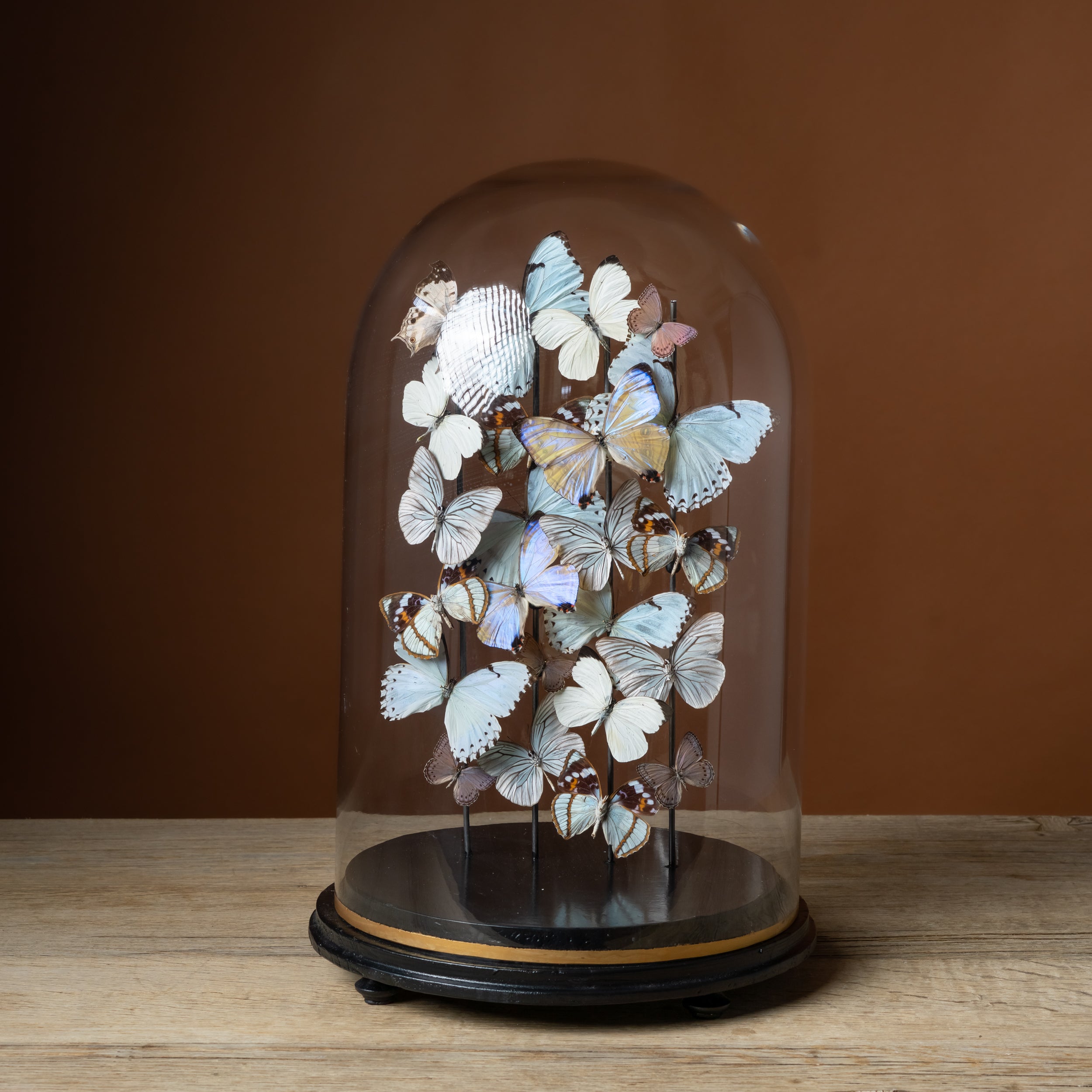 Mother of Pearl Globe