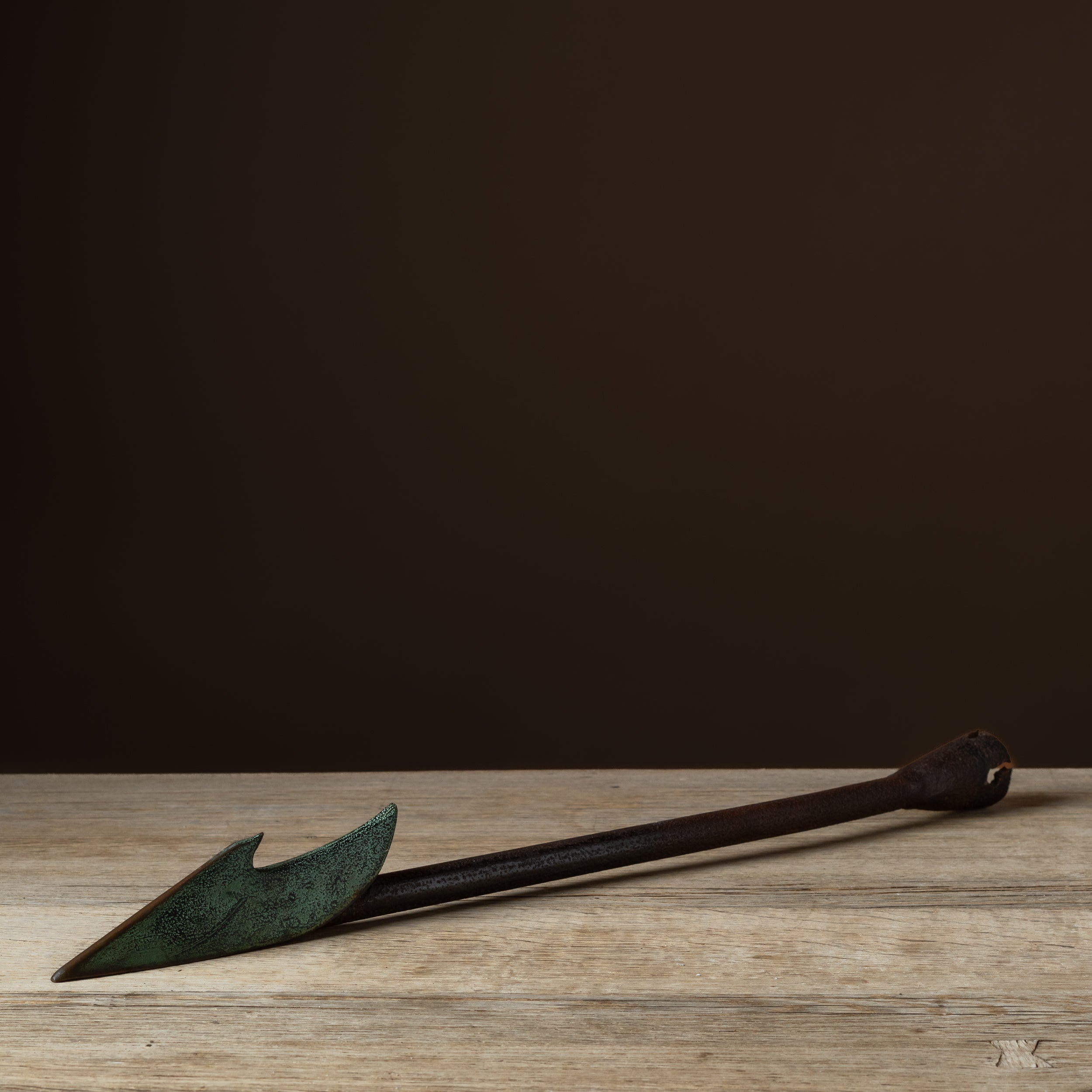 Wrought Iron Harpoon with Bronze Tip