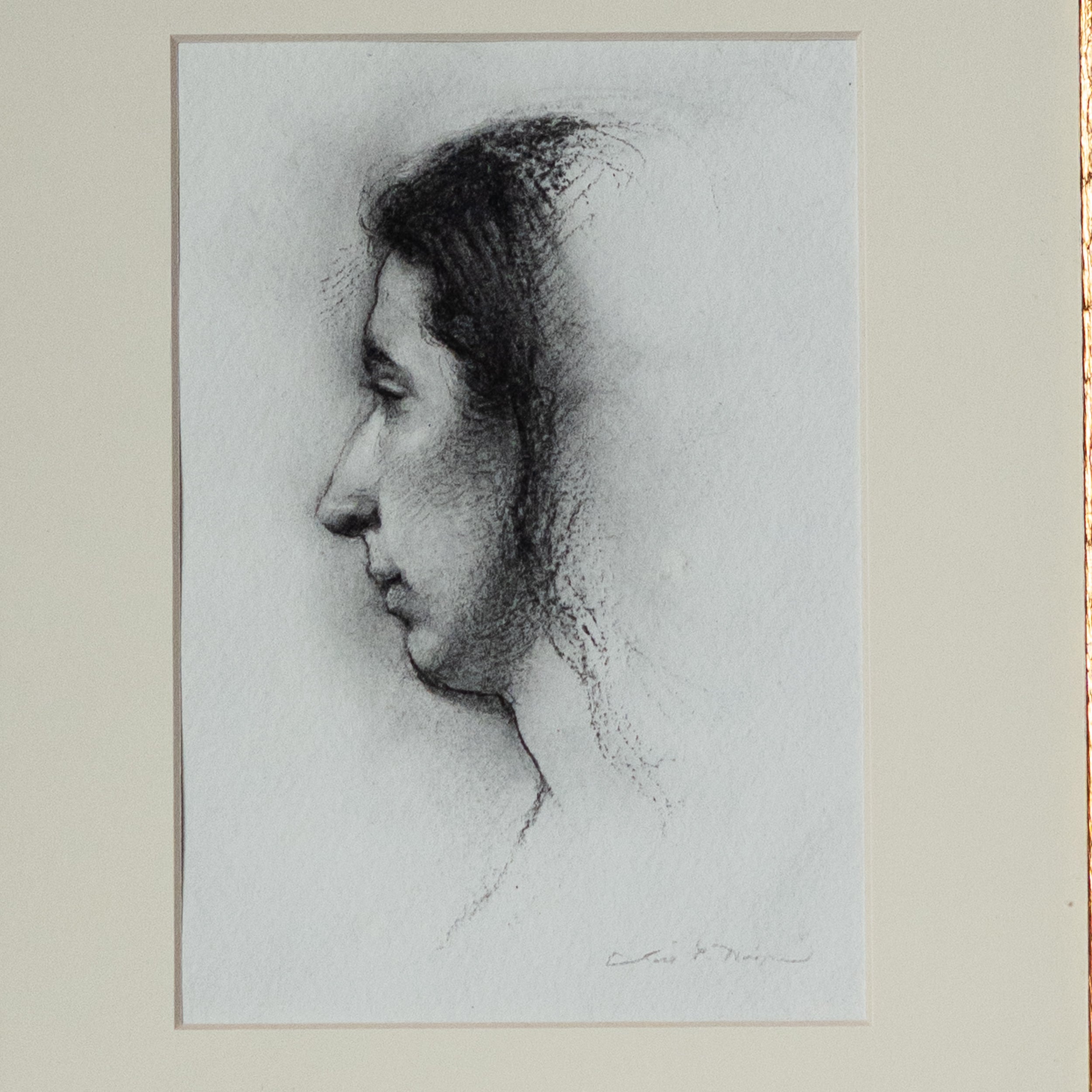 François in Profile by Jill Hooper