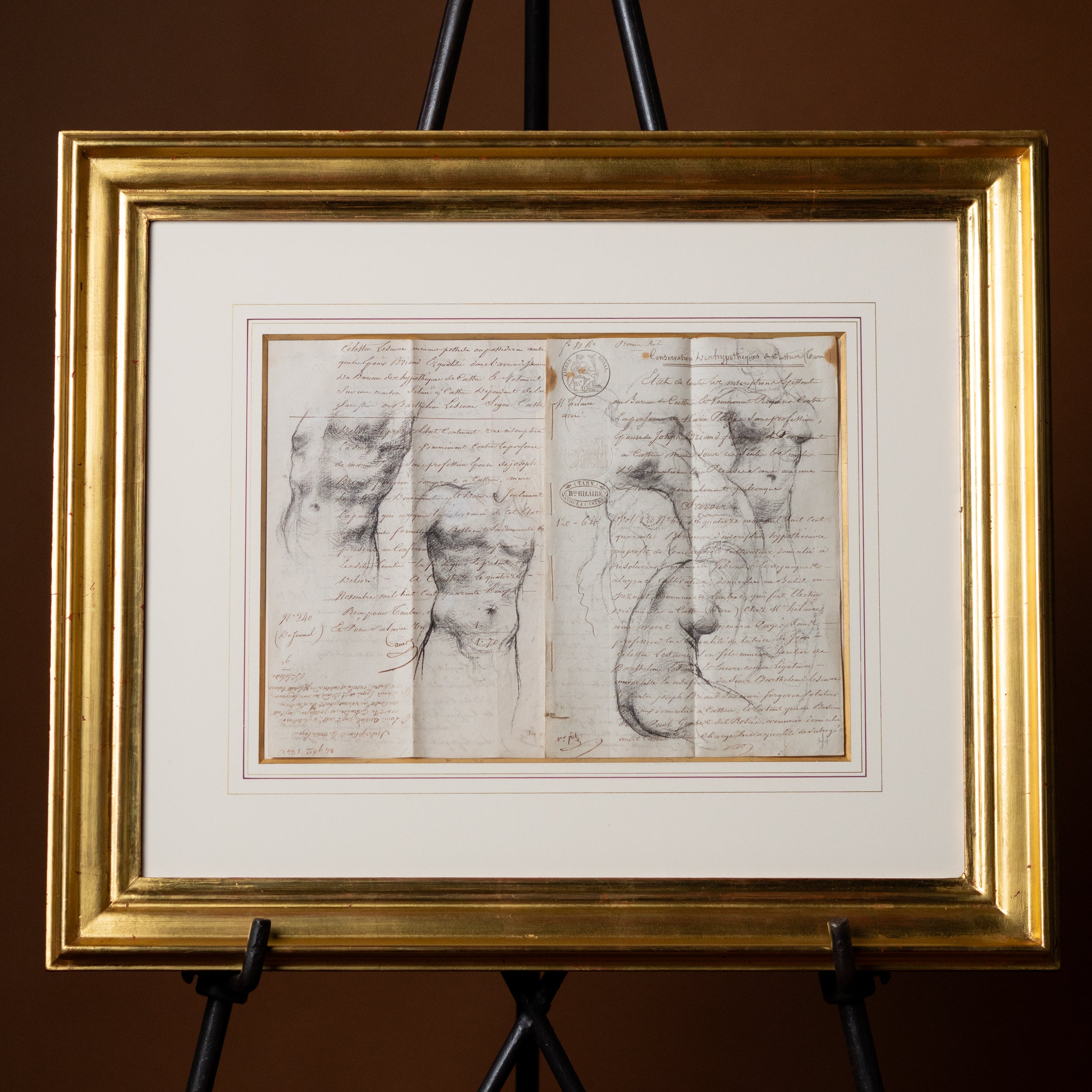 Two Male and Four and a Half Female Torsos by Jill Hooper