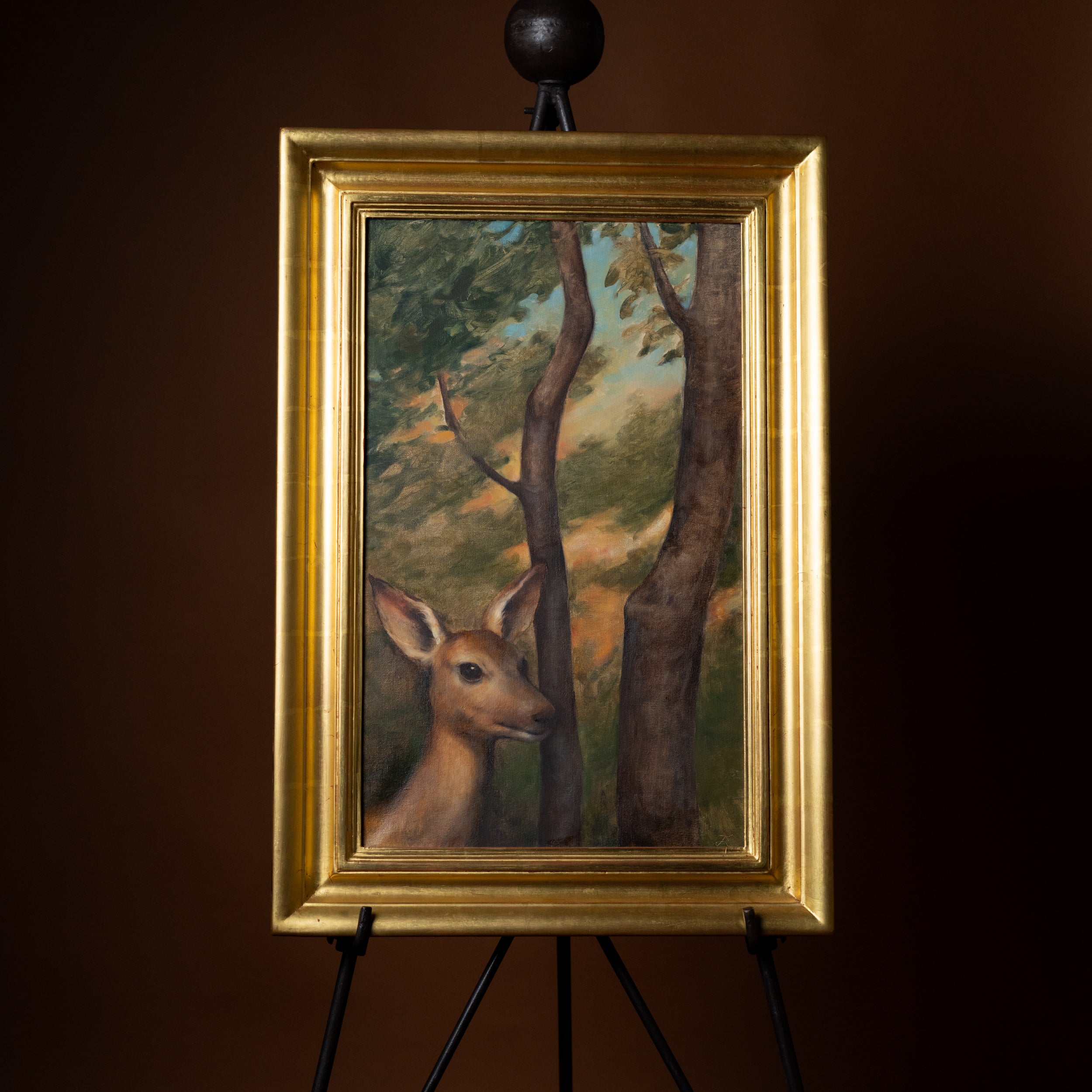 Fawn in the Woods by Jill Hooper