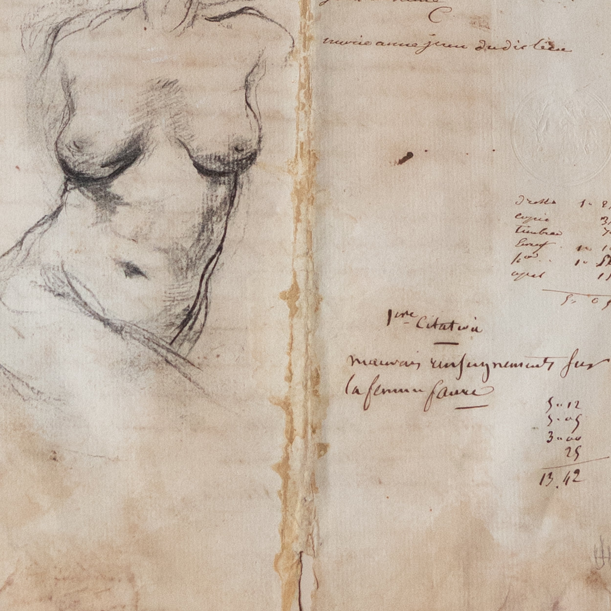 Female Torso by Jill Hooper