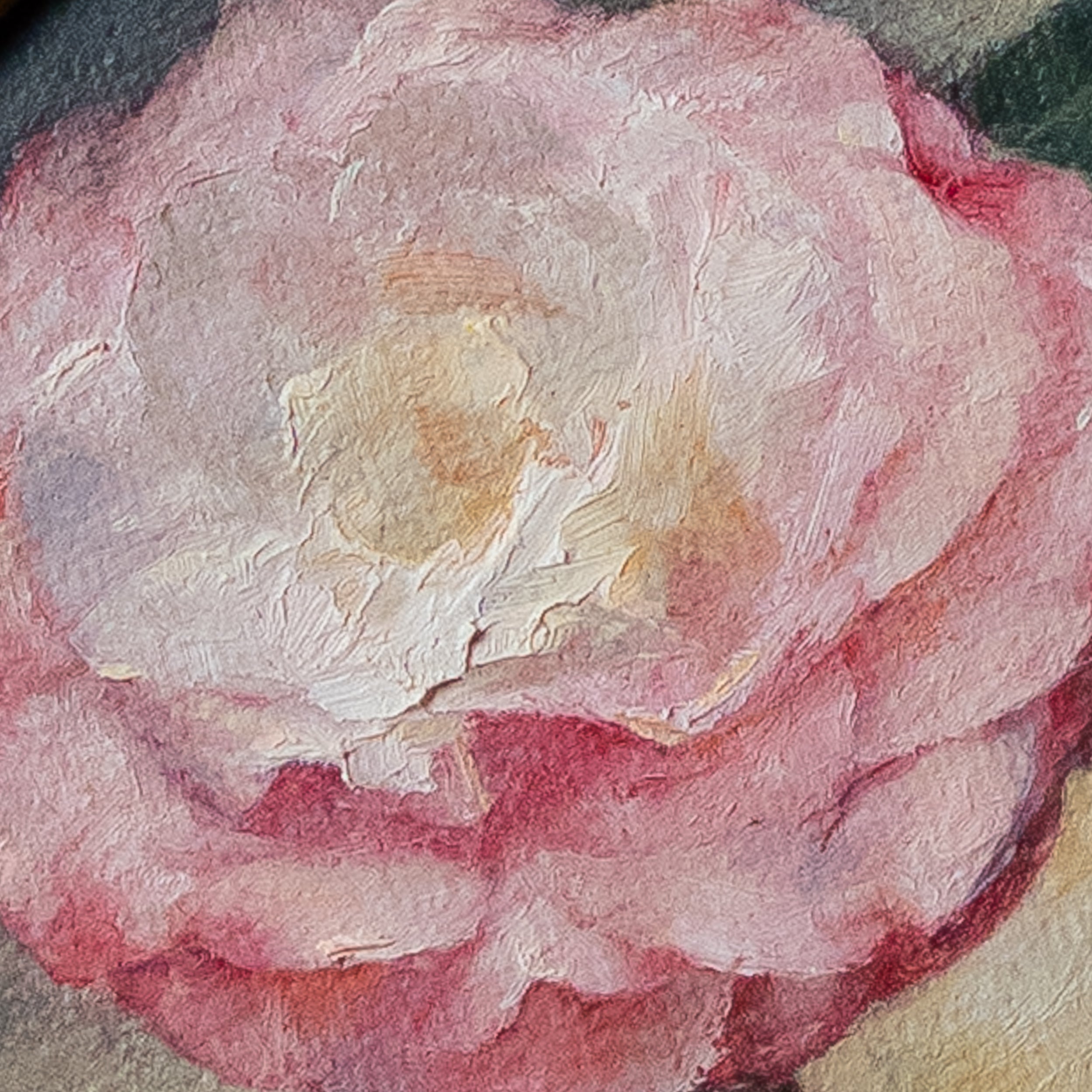 Camellia Japonica by Jill Hooper