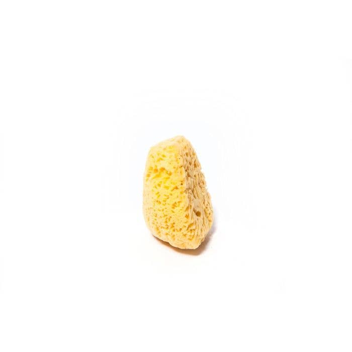 Yellow Sea Sponge Cuts: Large 7” to 8”