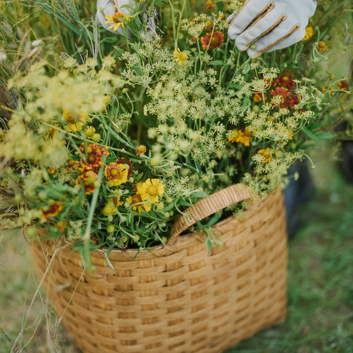 Large Throw Basket
