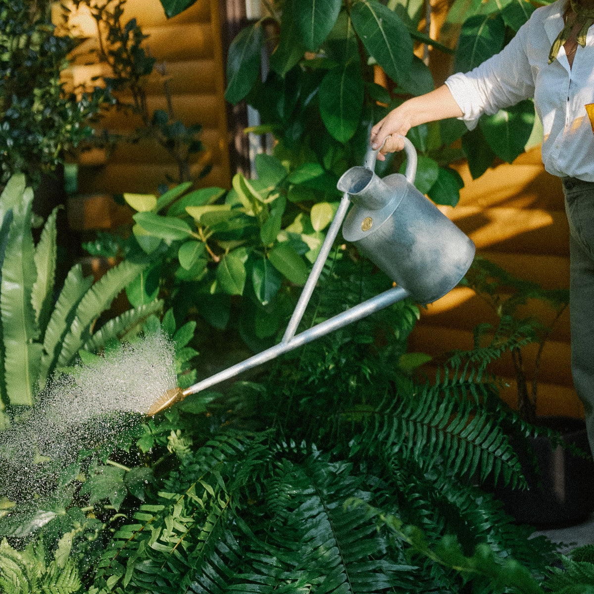 The Warley Fall - Two Gallon