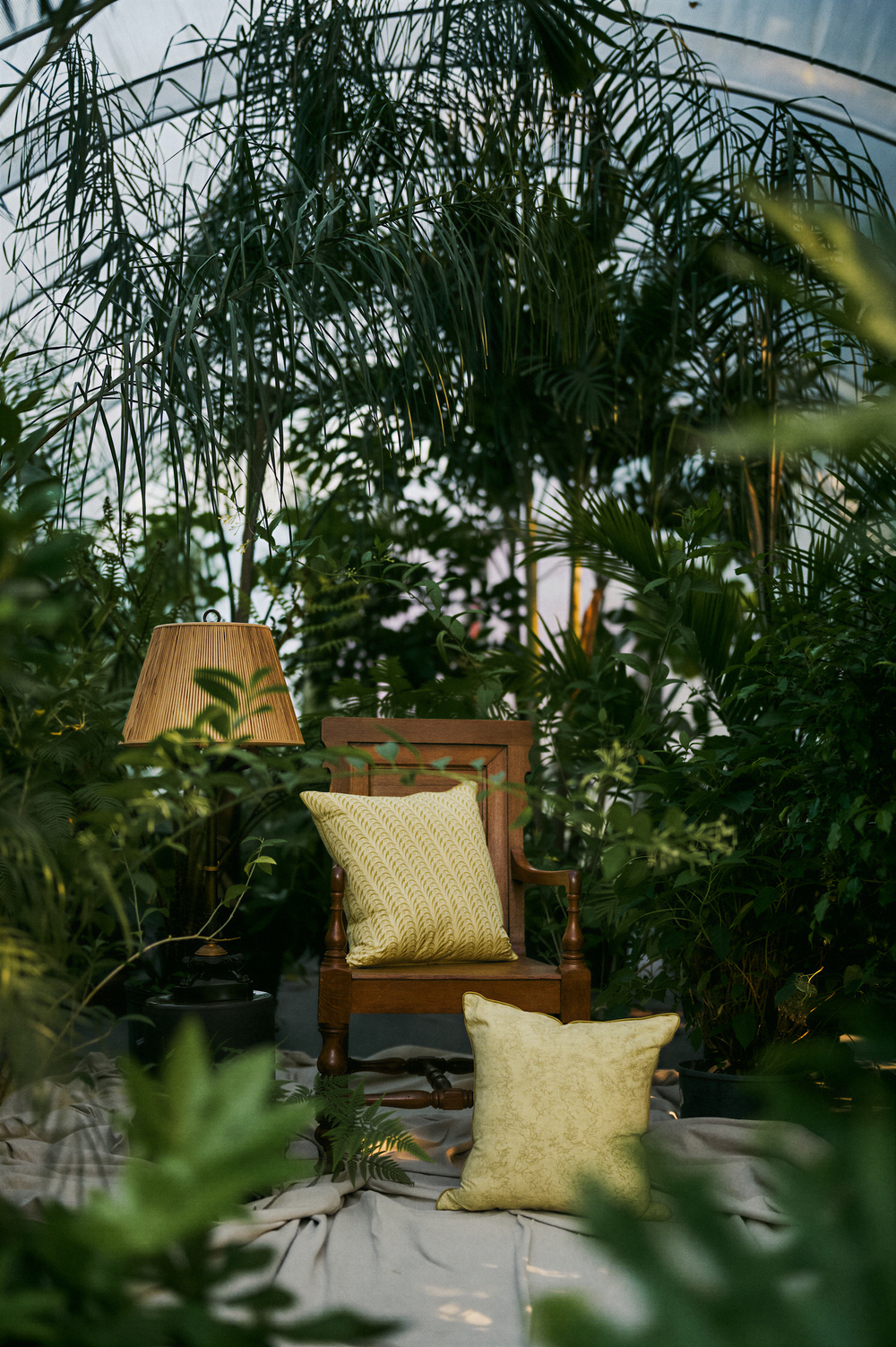 In the Garden with Sara York Grimshaw