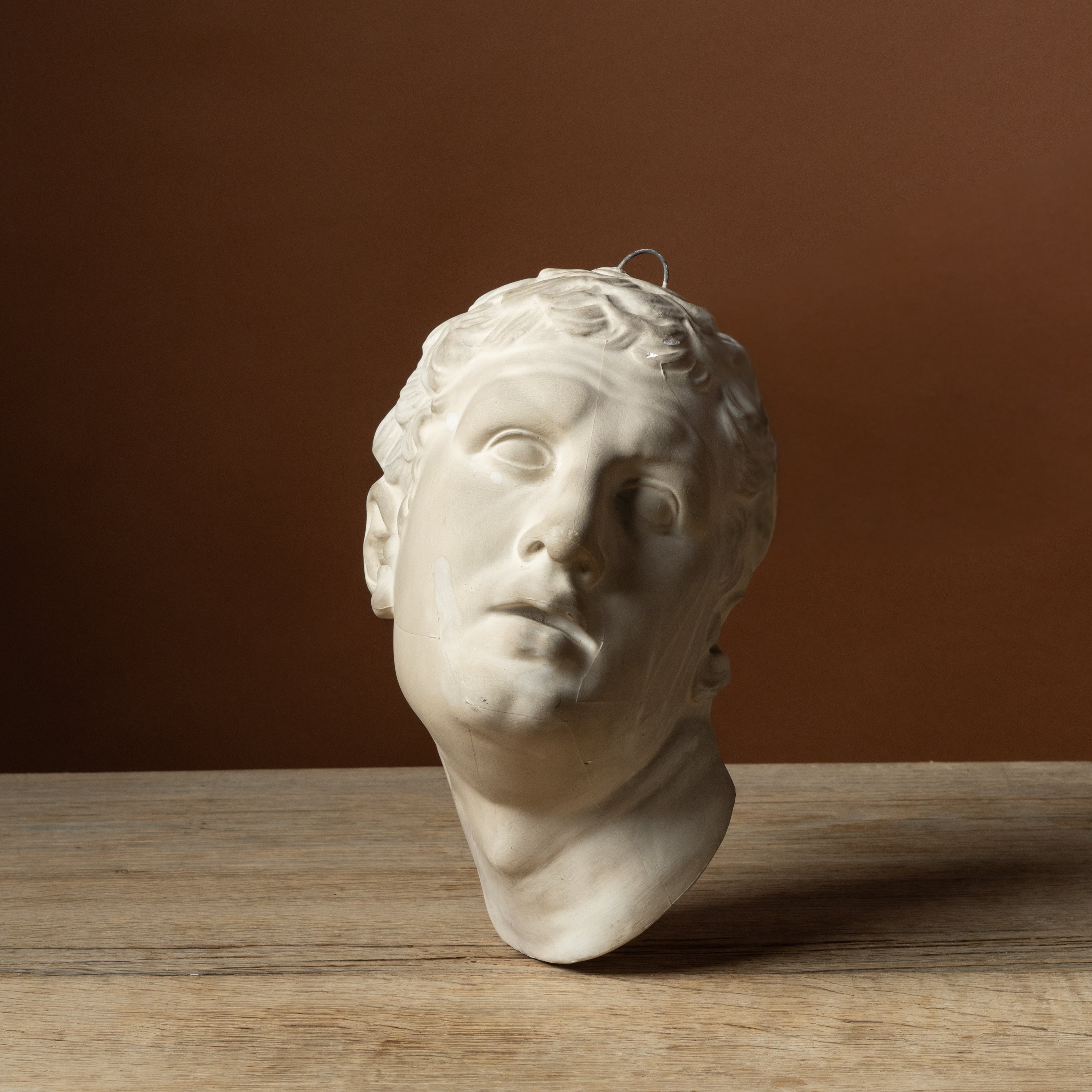 Plaster Cast of Borghese Gladiator Head