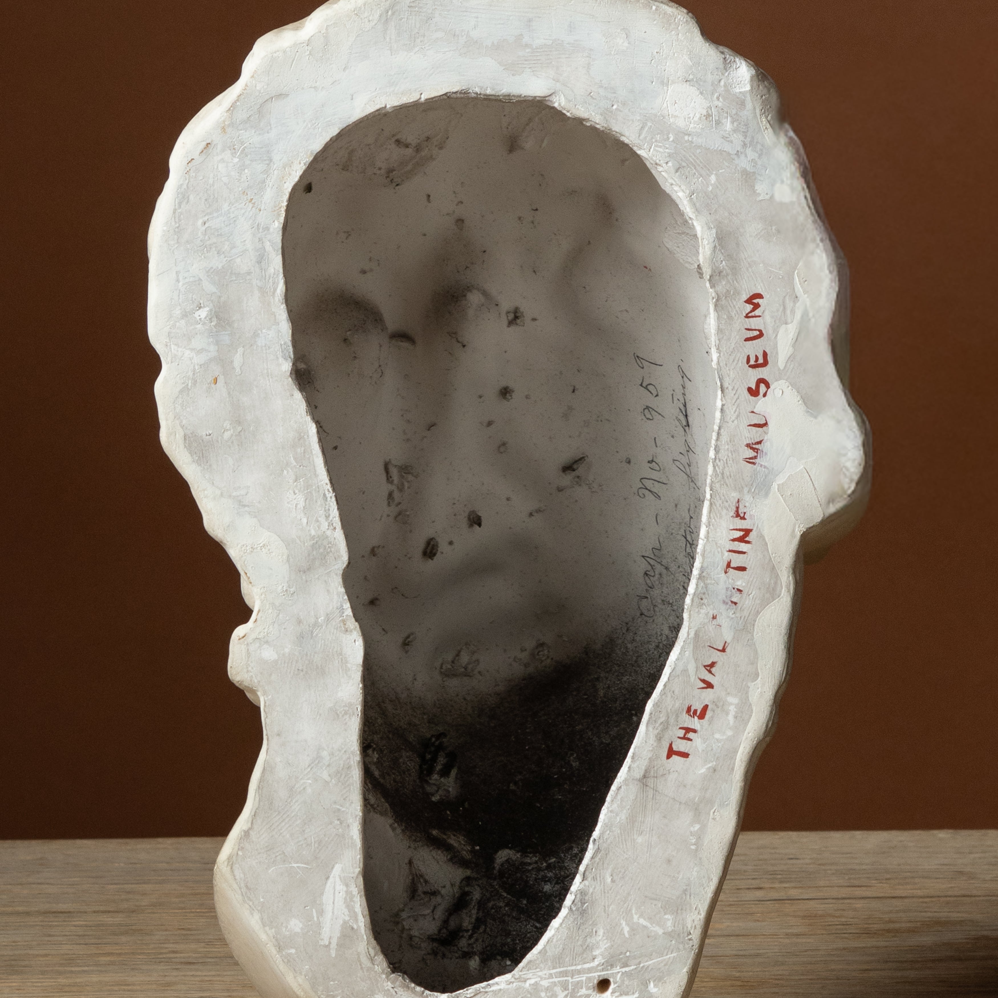 Plaster Cast of Borghese Gladiator Head