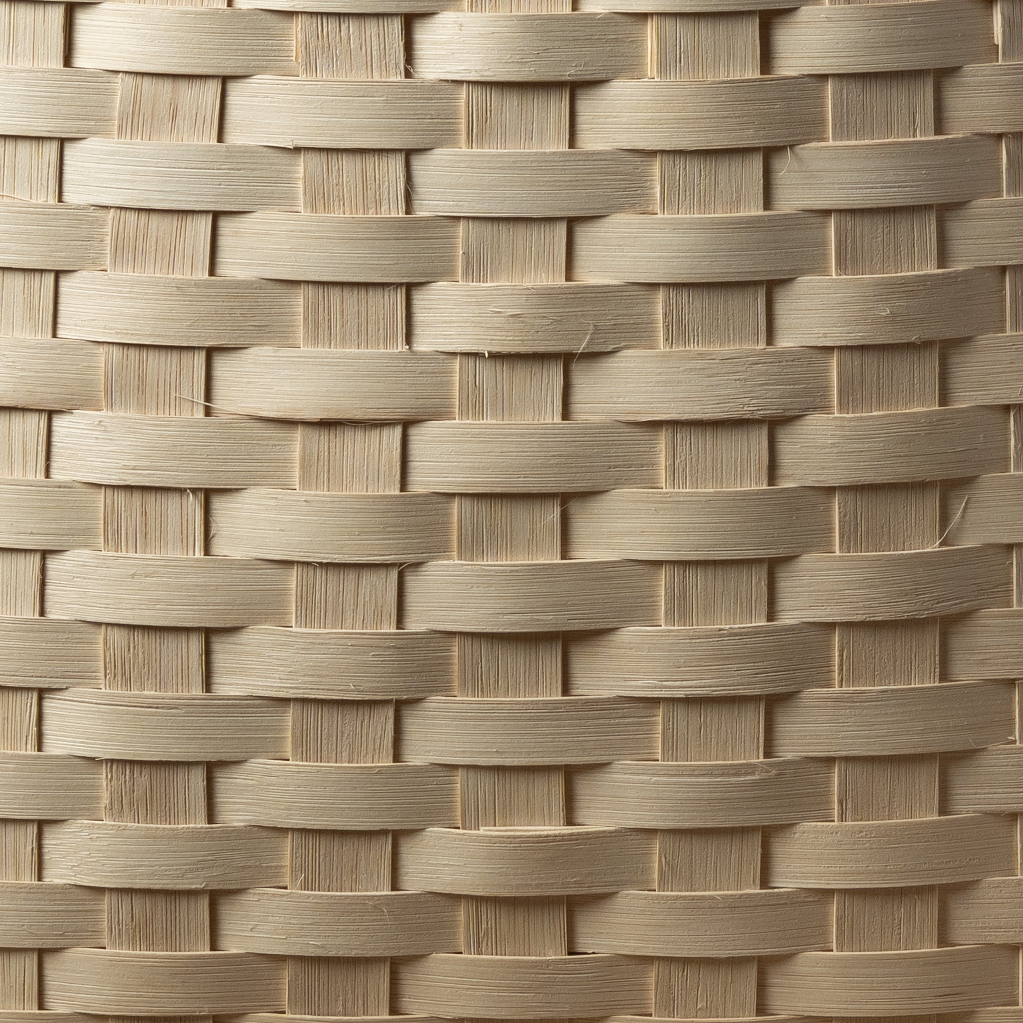 Large Throw Basket