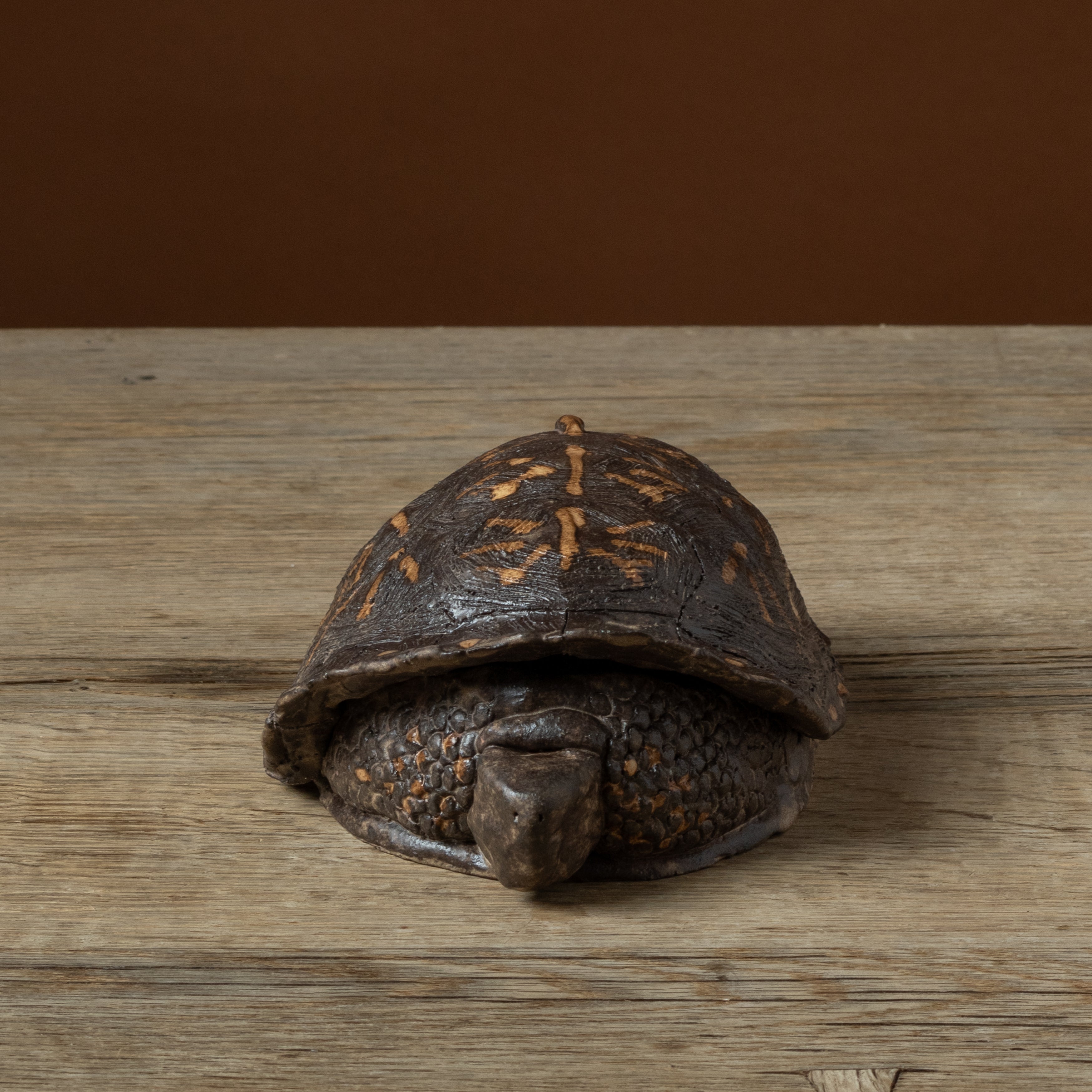 Box Turtle Butter Dish