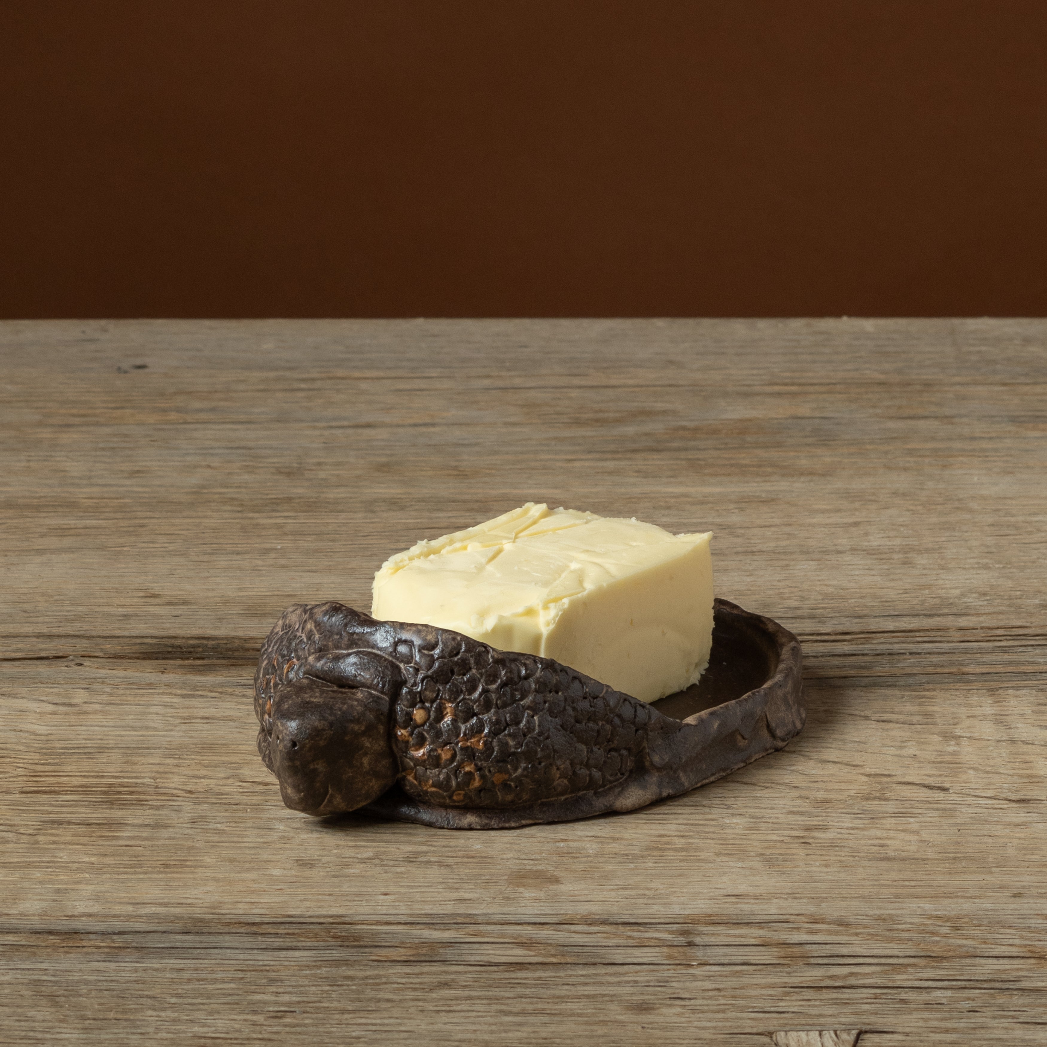 Box Turtle Butter Dish
