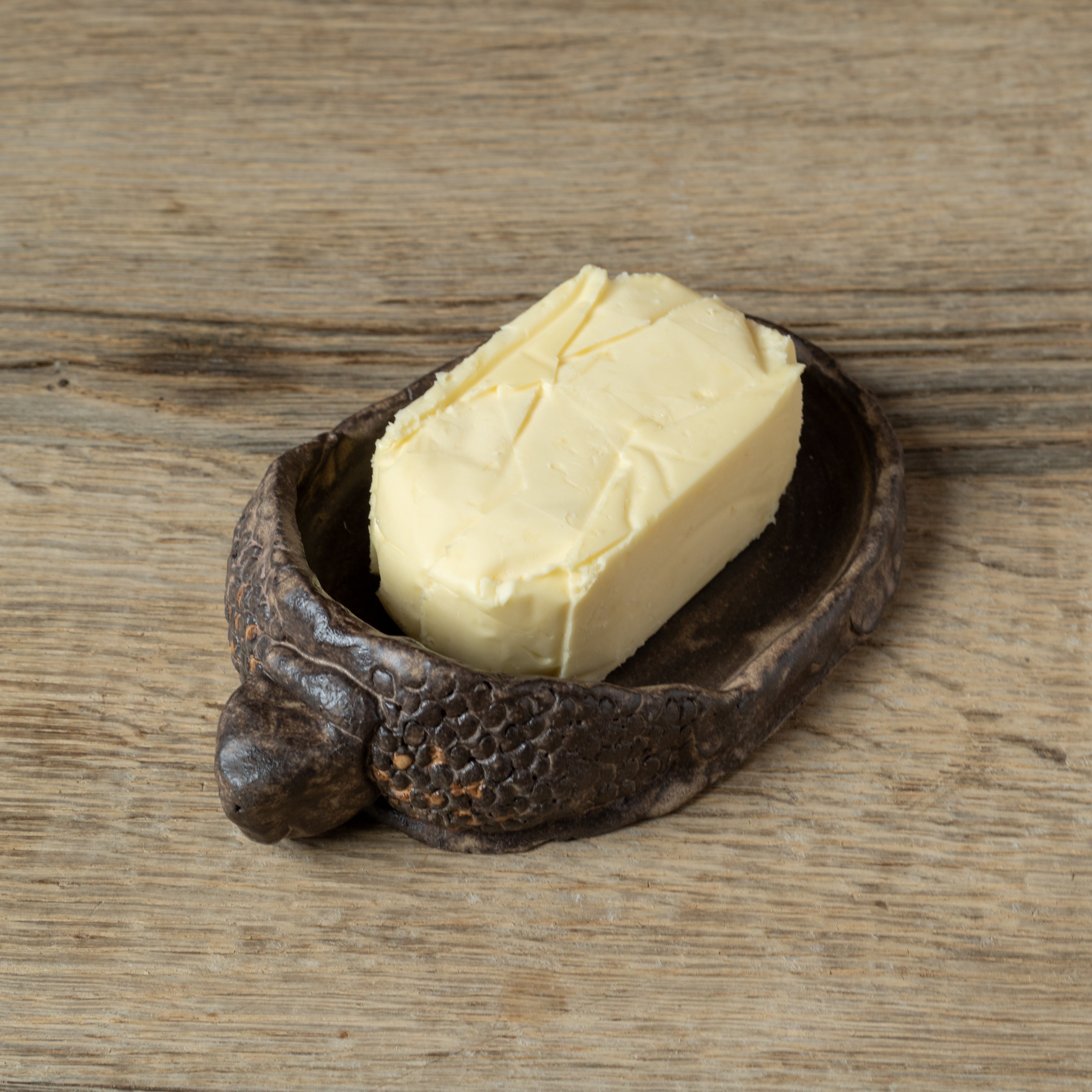 Box Turtle Butter Dish