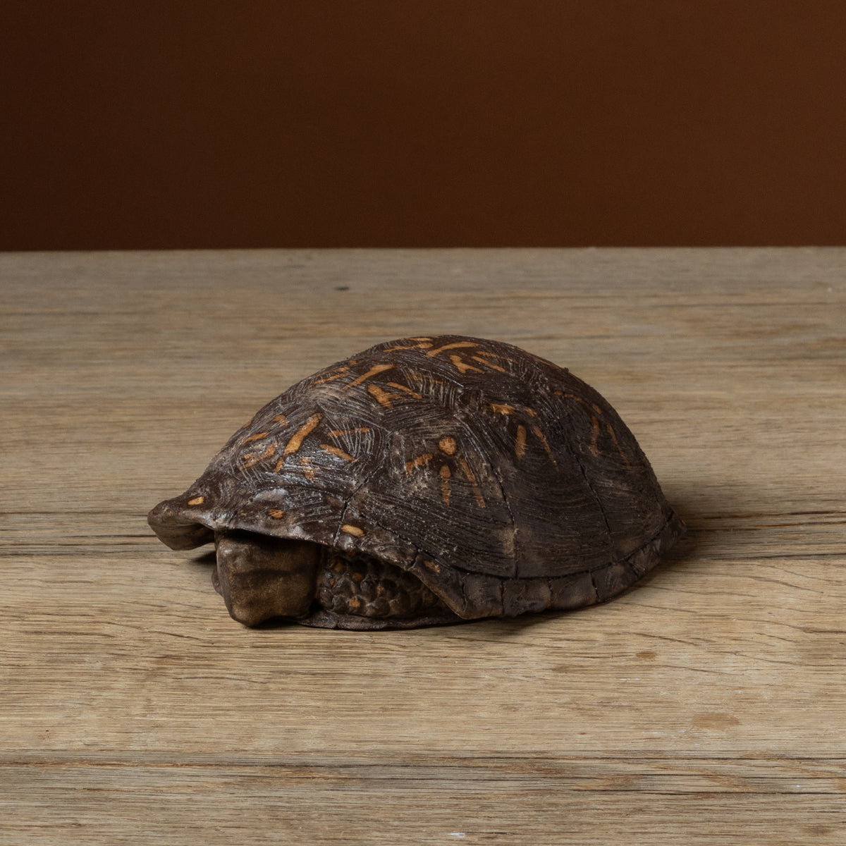 Box Turtle Butter Dish