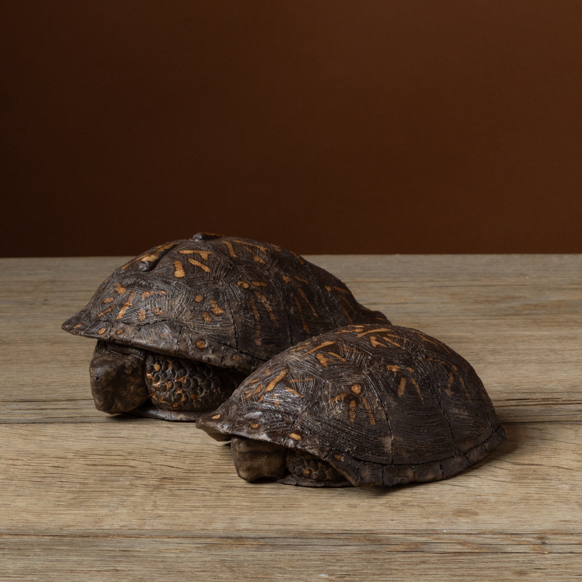 Box Turtle Butter Dish