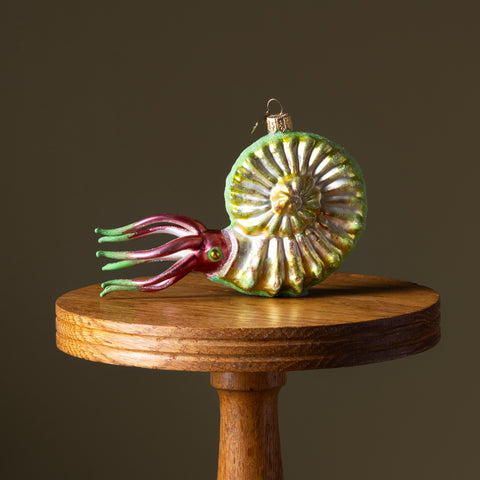 Ammonite in Nautilus Shell Glass Ornament