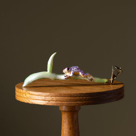 Purple Frog on Frogfruit Clip Glass Ornament