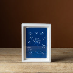 Emily Dickinson's Herbarium Fern XIII