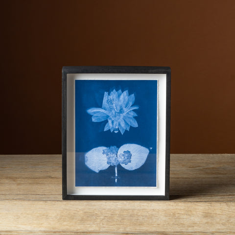 Emily Dickinson's Herbarium No. 61