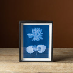 Emily Dickinson's Herbarium No. 61