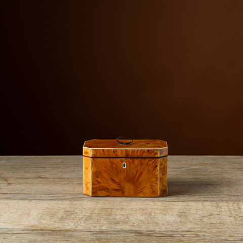 Georgian Blonde Tortoiseshell Tea Caddy