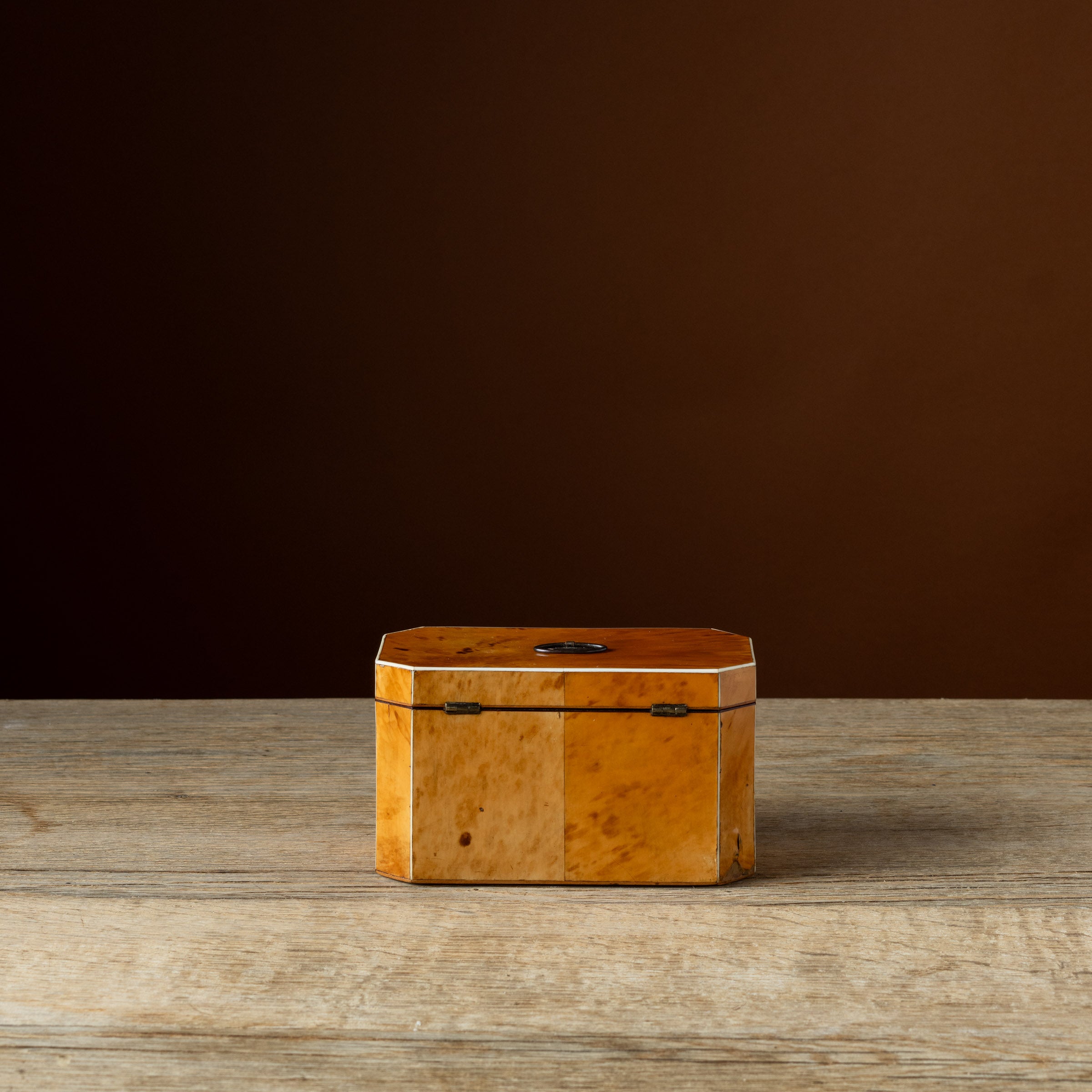 Georgian Blonde Tortoiseshell Tea Caddy