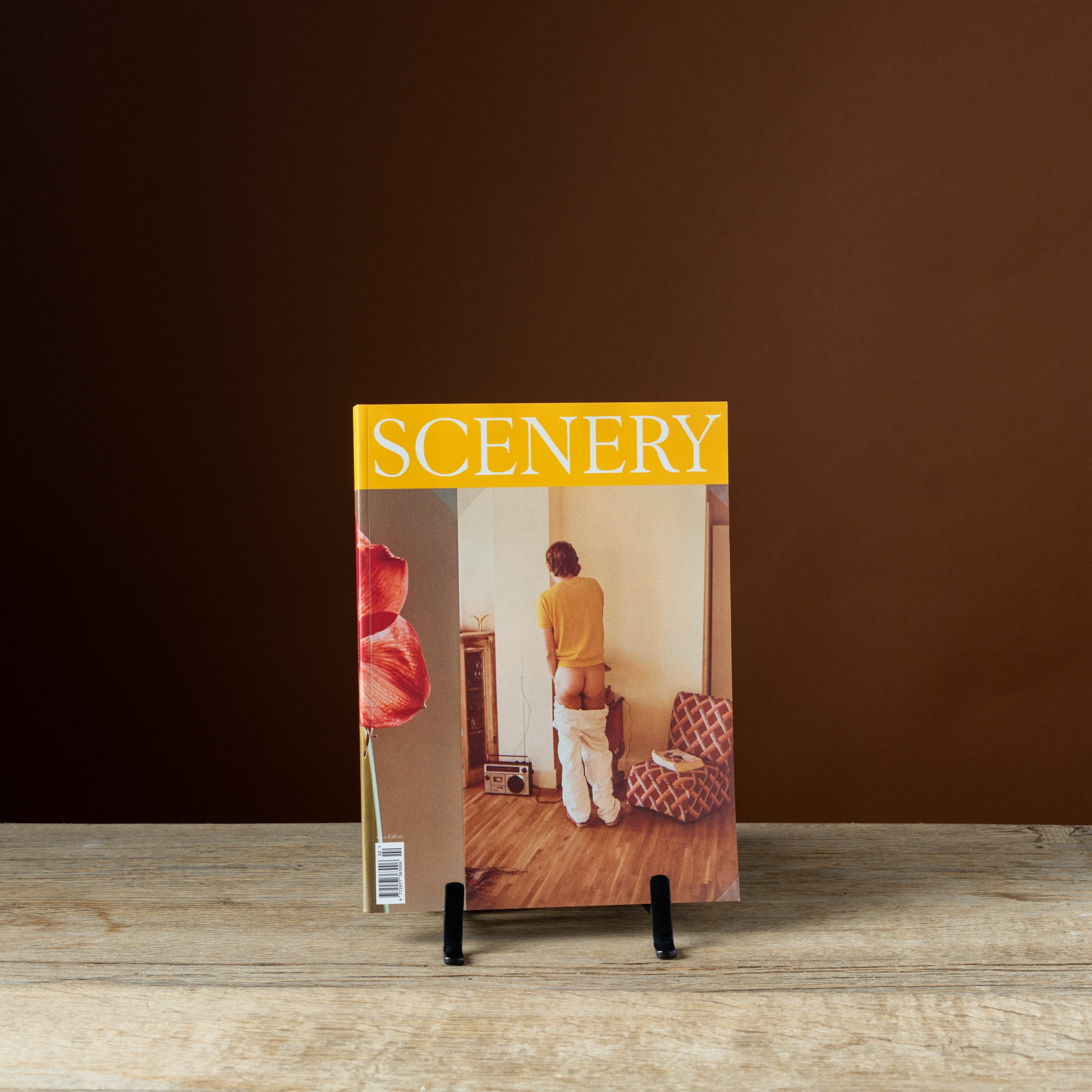 Scenery Magazine No. 2 — Cover One