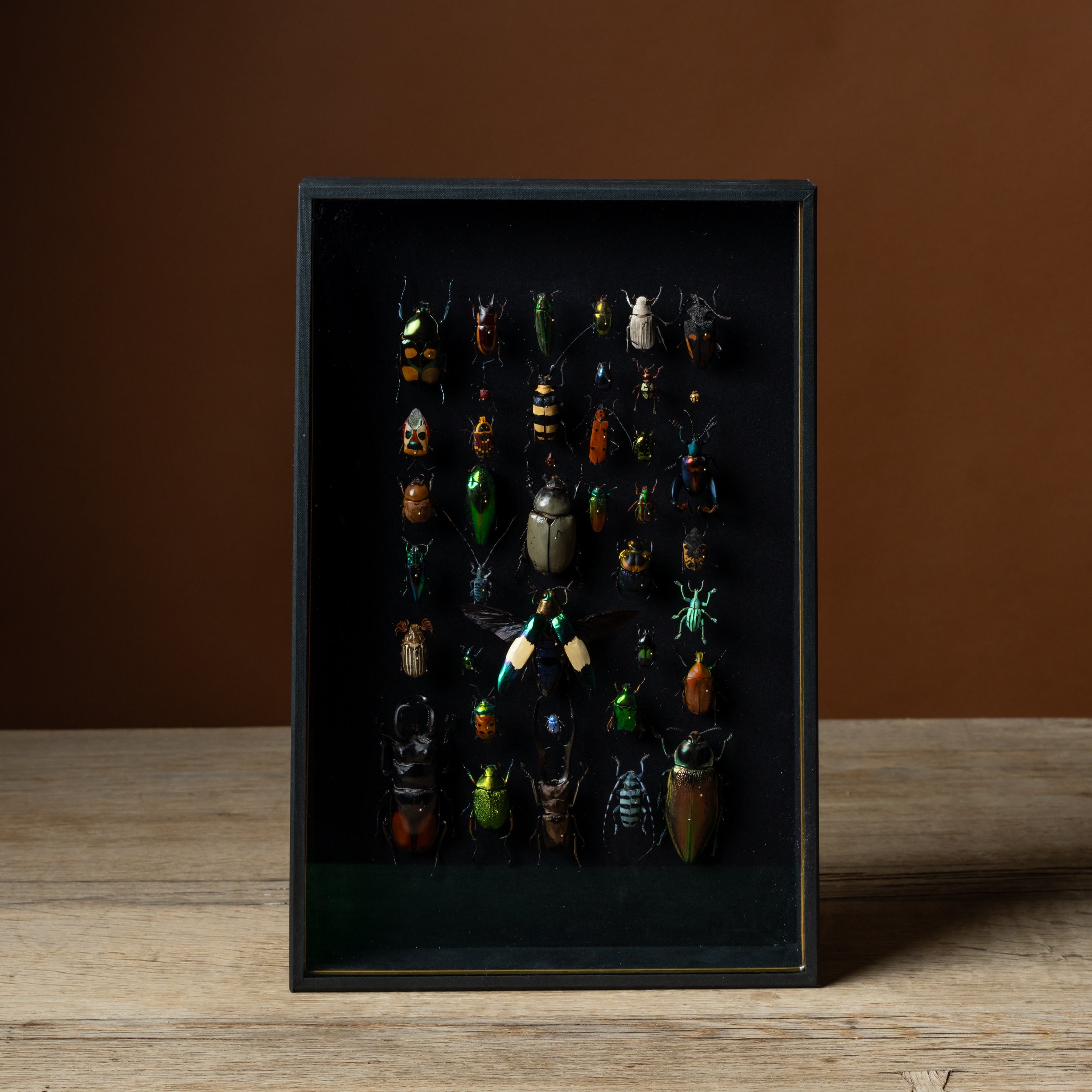 Fanfare Framed Composition