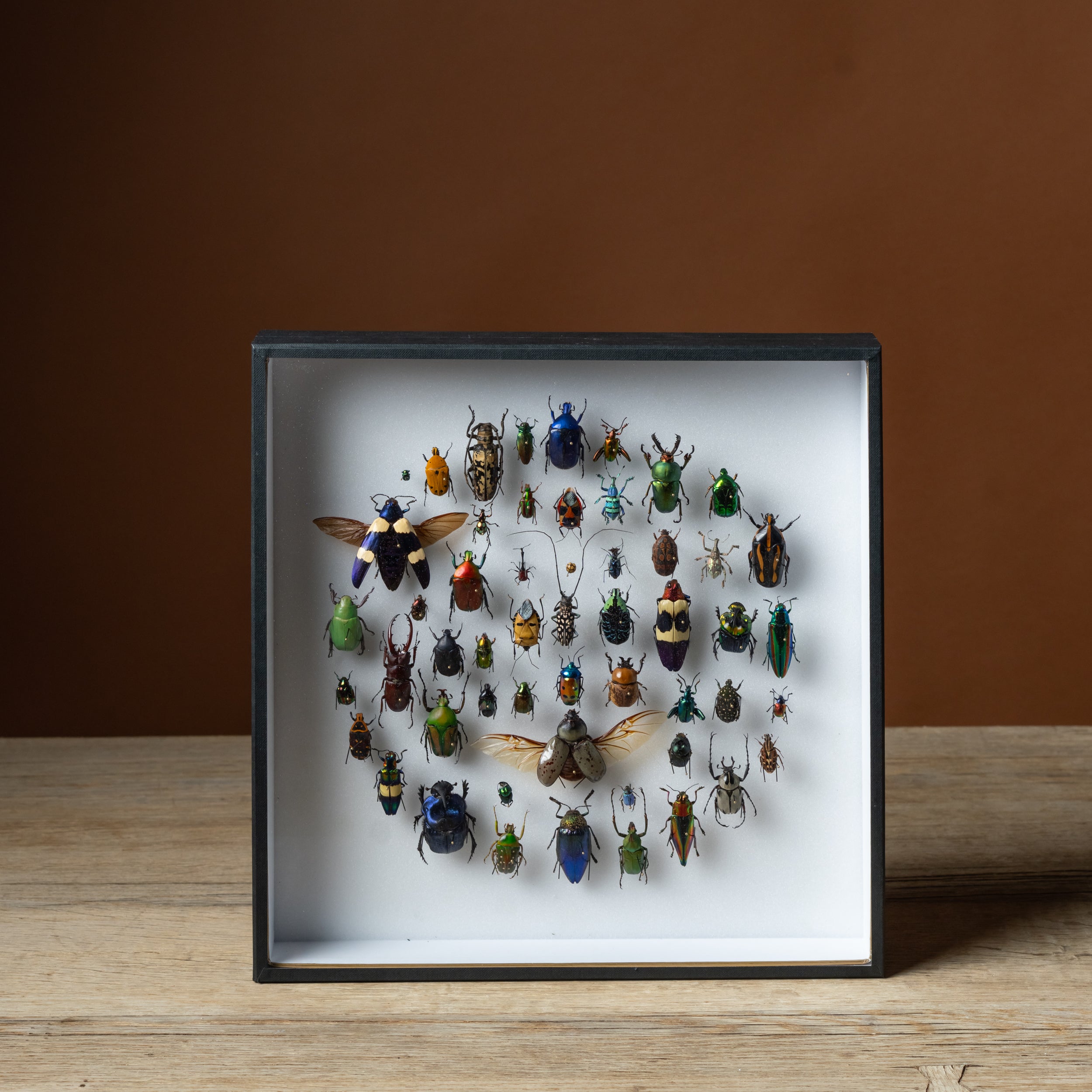 Hublot Framed Composition