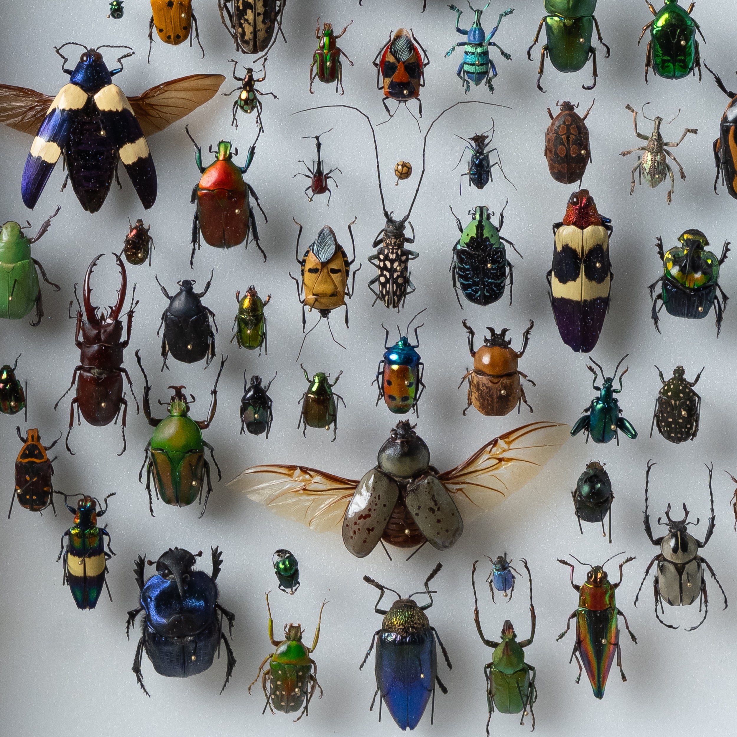 Hublot Framed Composition