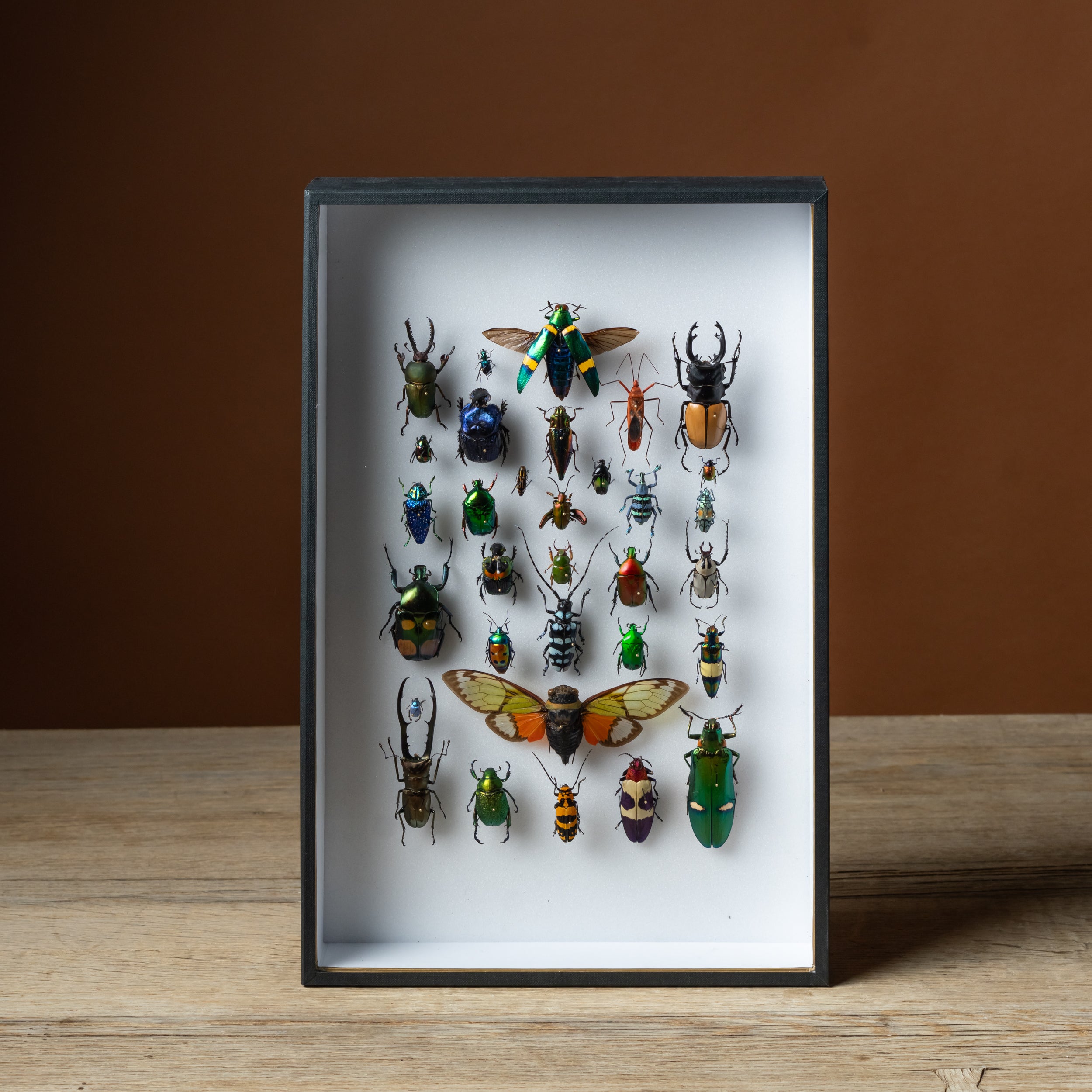 Marching Band Framed Composition