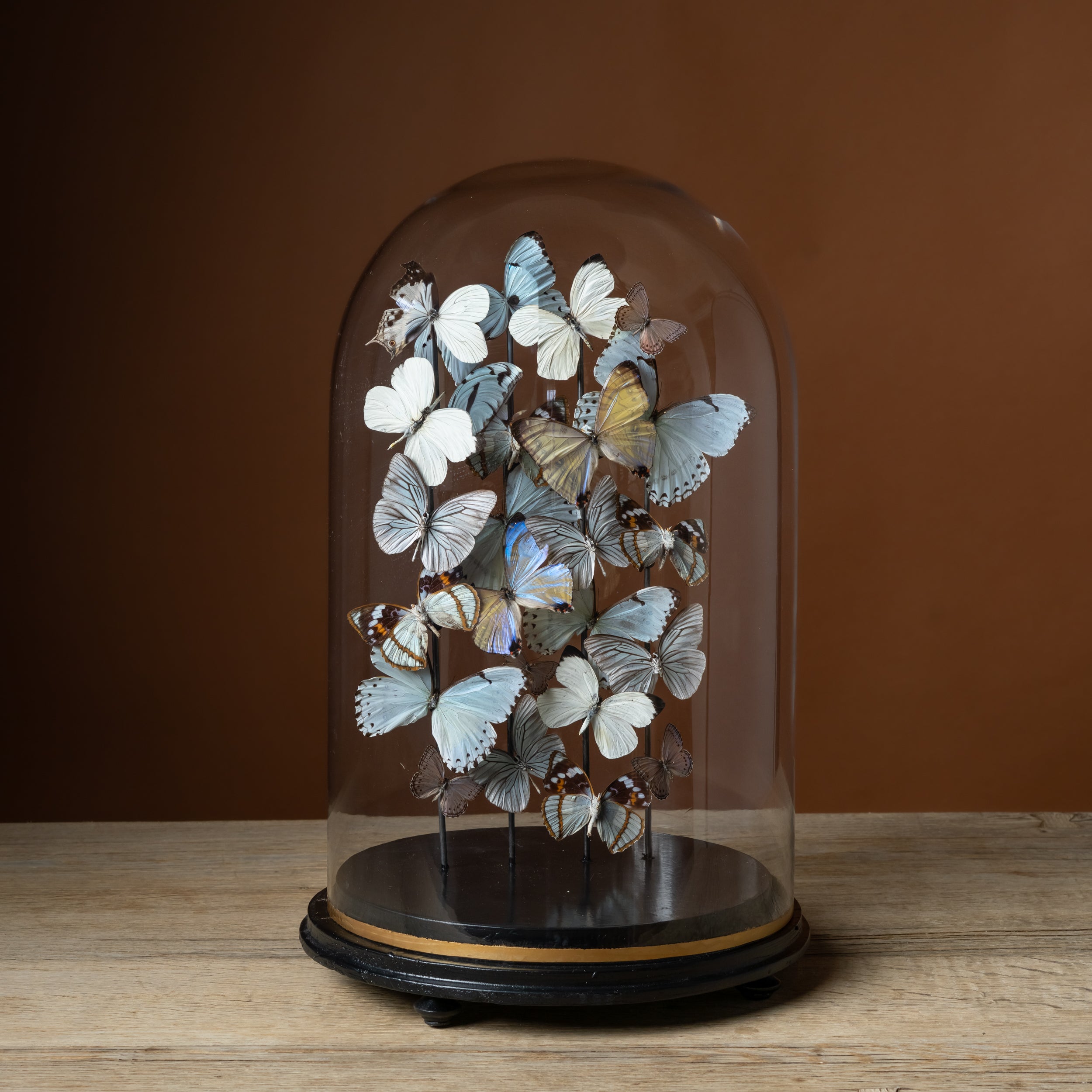 Mother of Pearl Globe