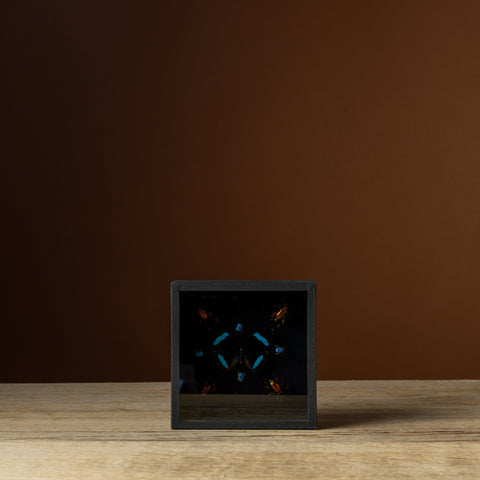 Turquoise