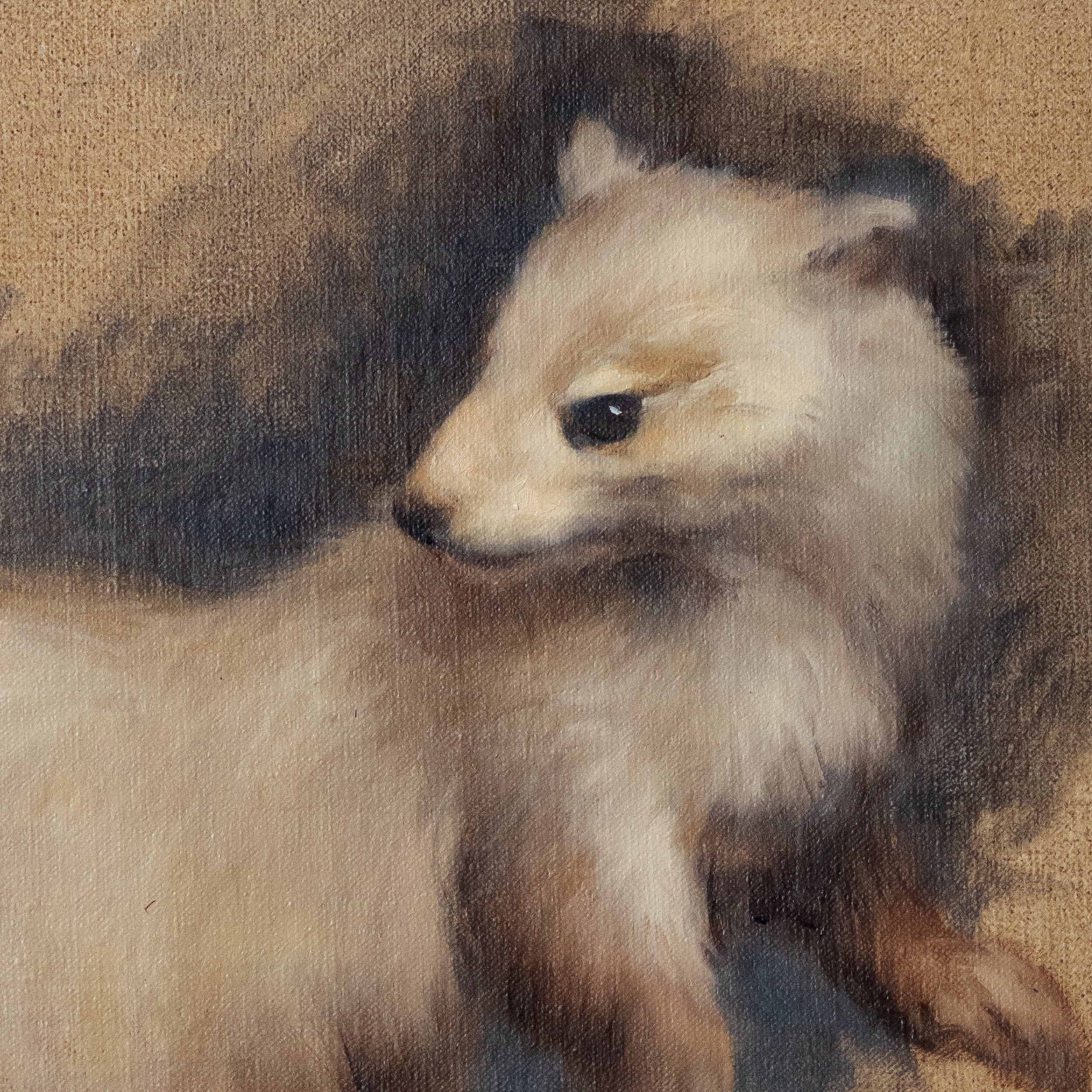 Le Furet by Jill Hooper