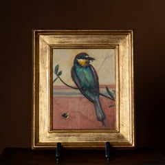 Bee-eater by Jill Hooper