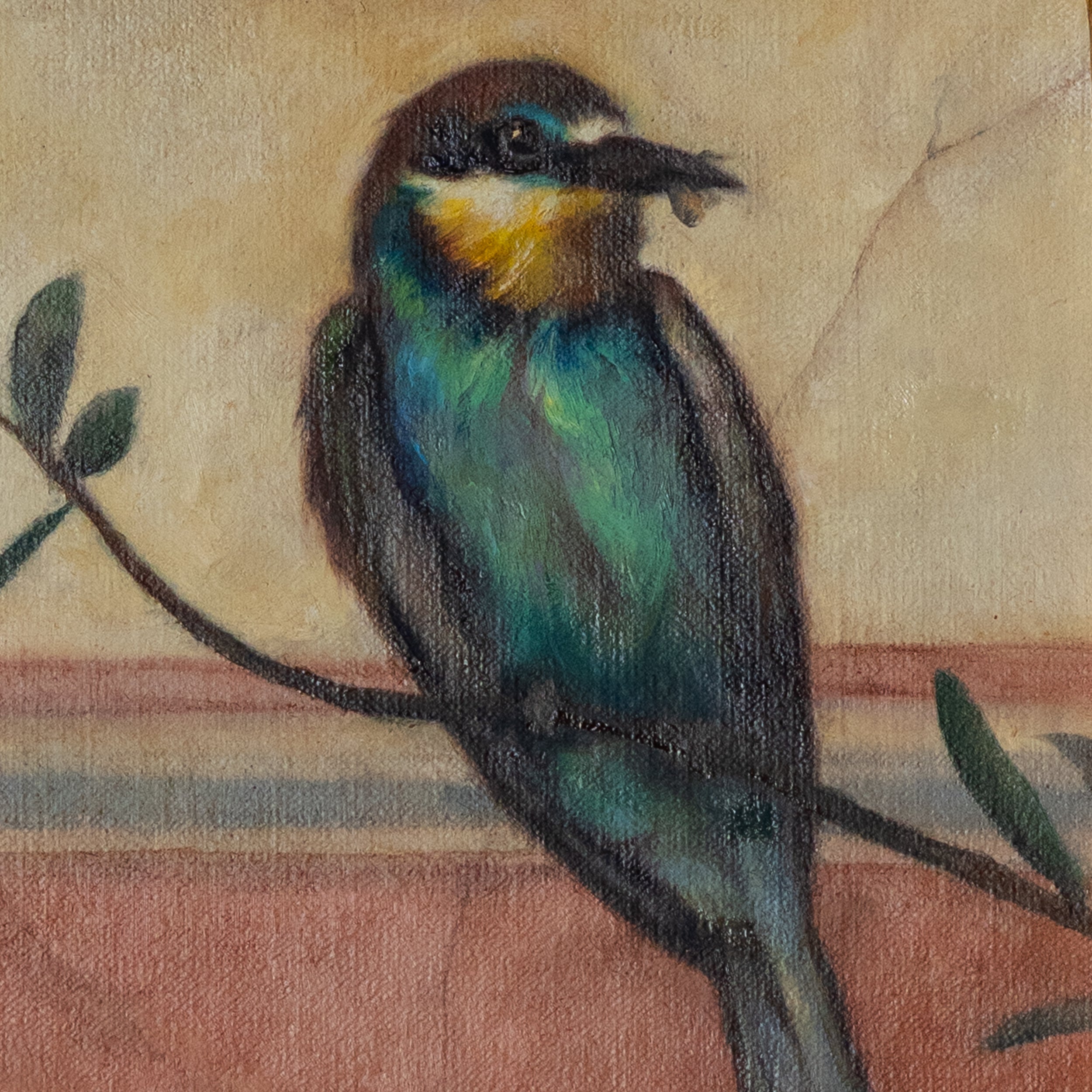 Bee-eater by Jill Hooper
