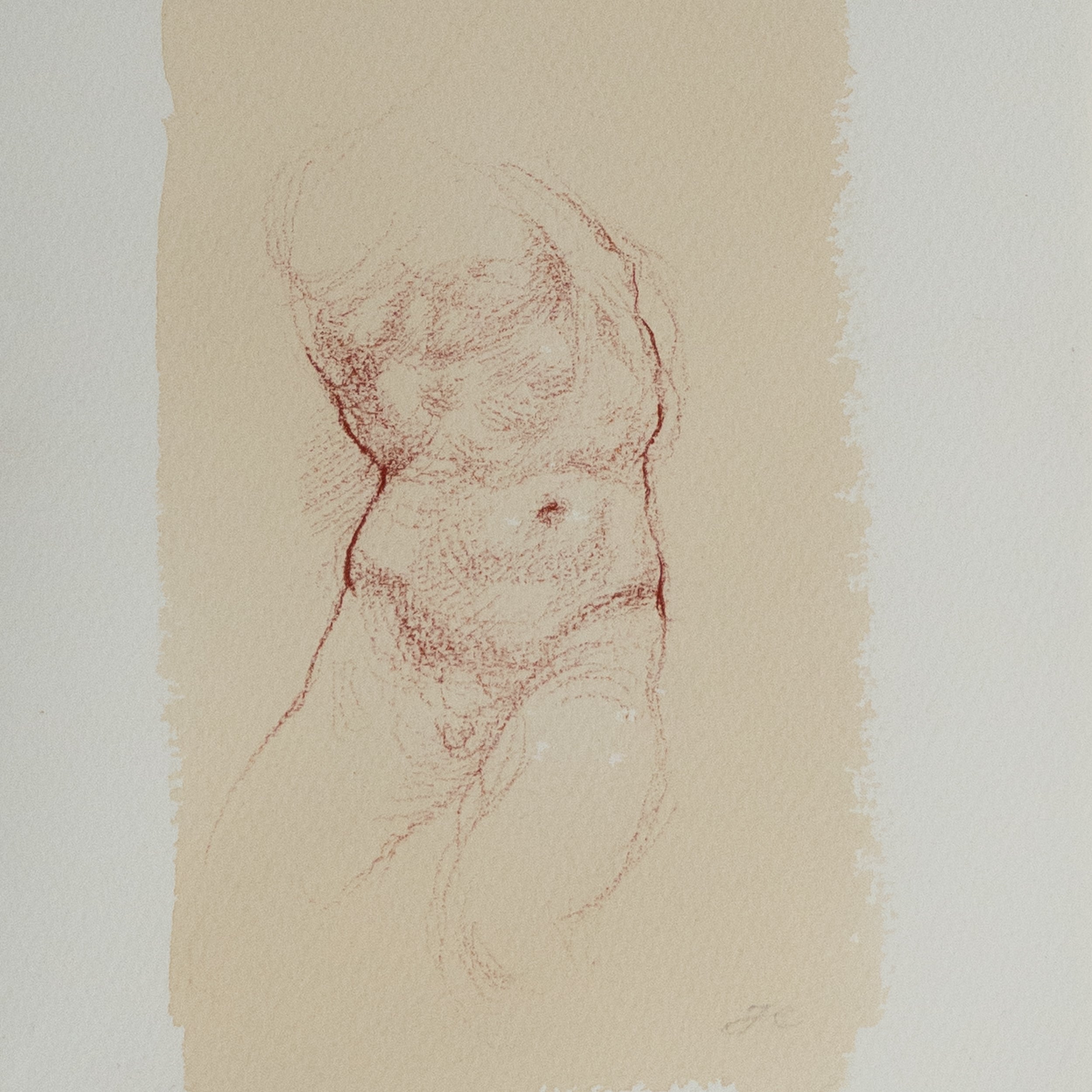 Male Torso at Victoria & Albert Museum by Jill Hooper