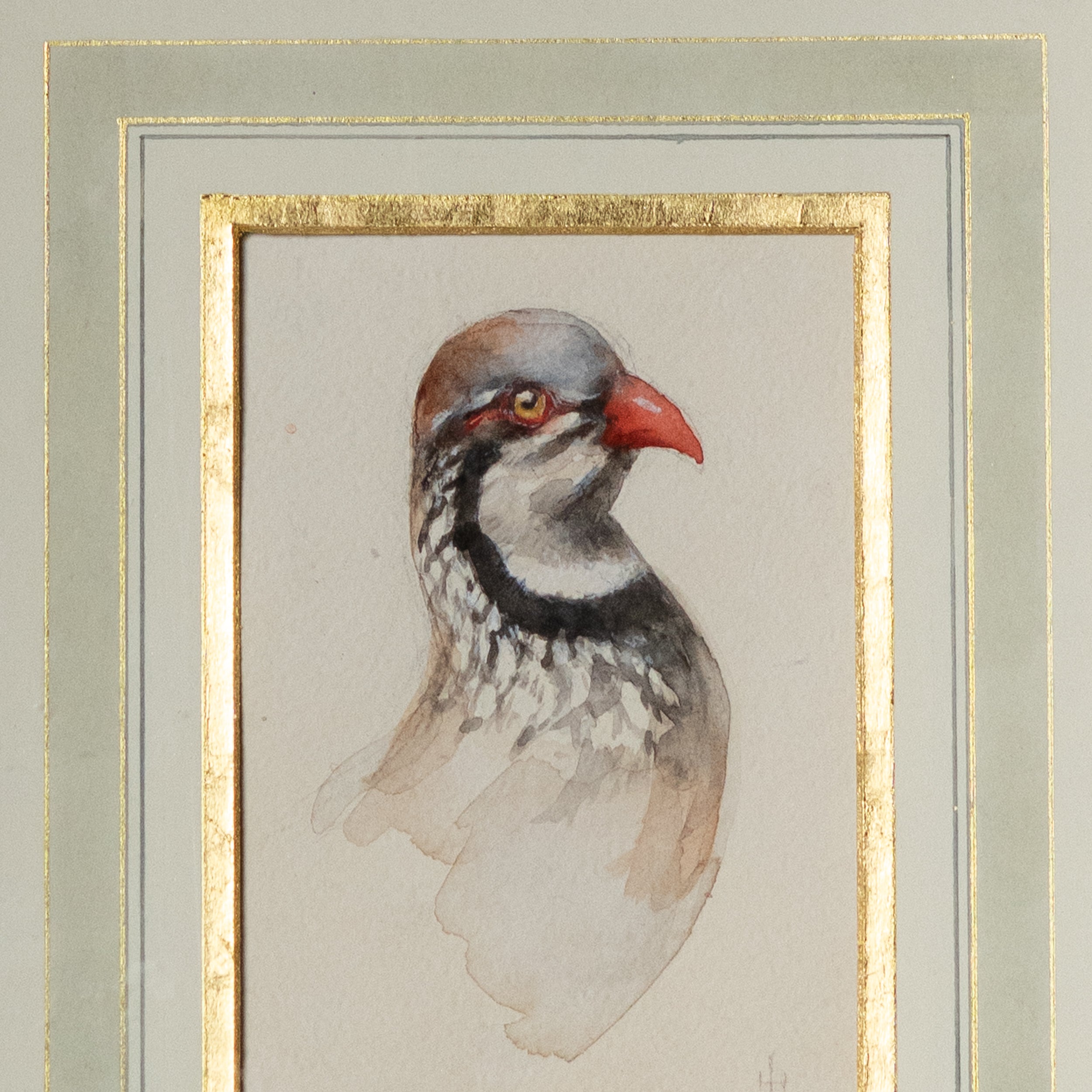 French Guinea Hen by Jill Hooper