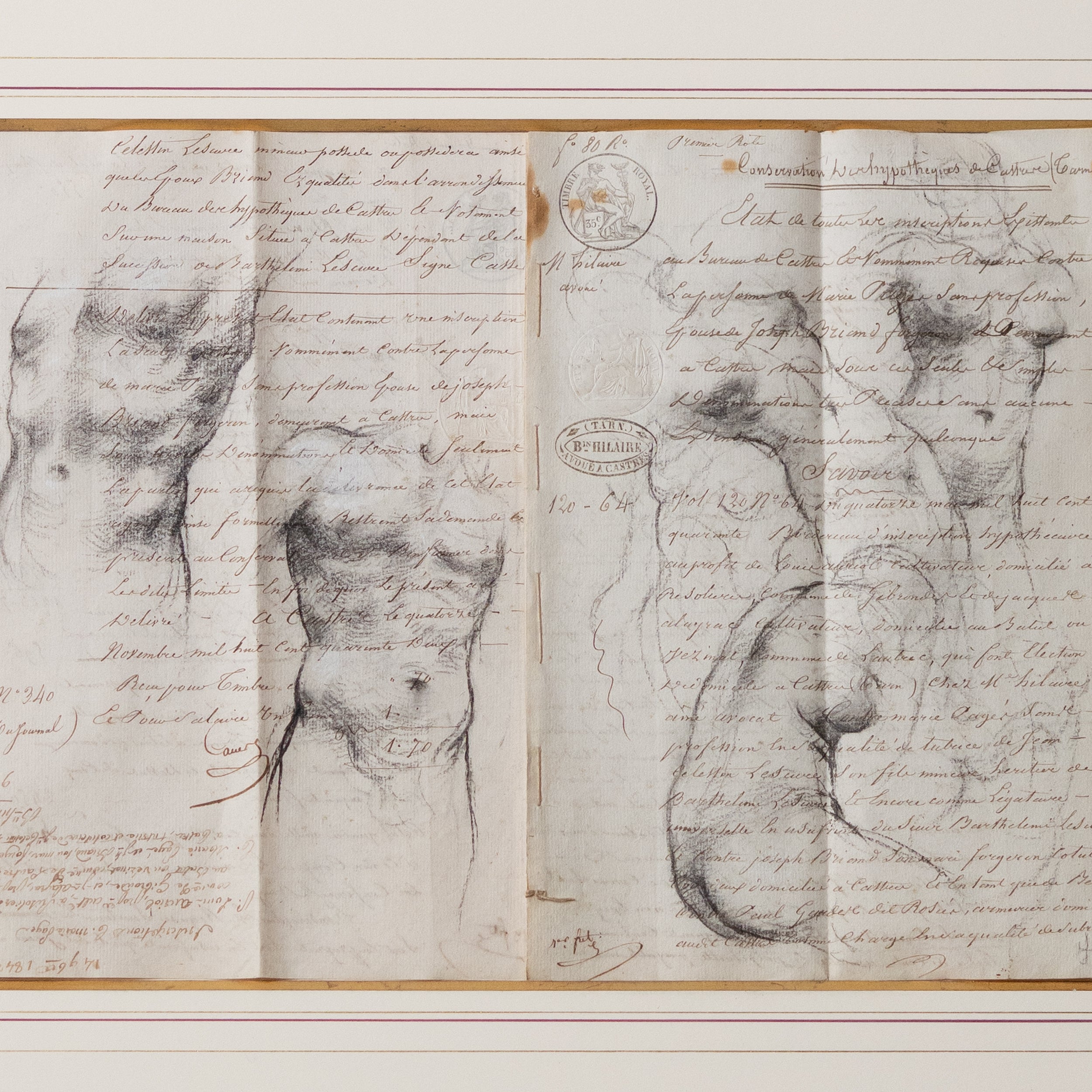 Two Male and Four and a Half Female Torsos by Jill Hooper