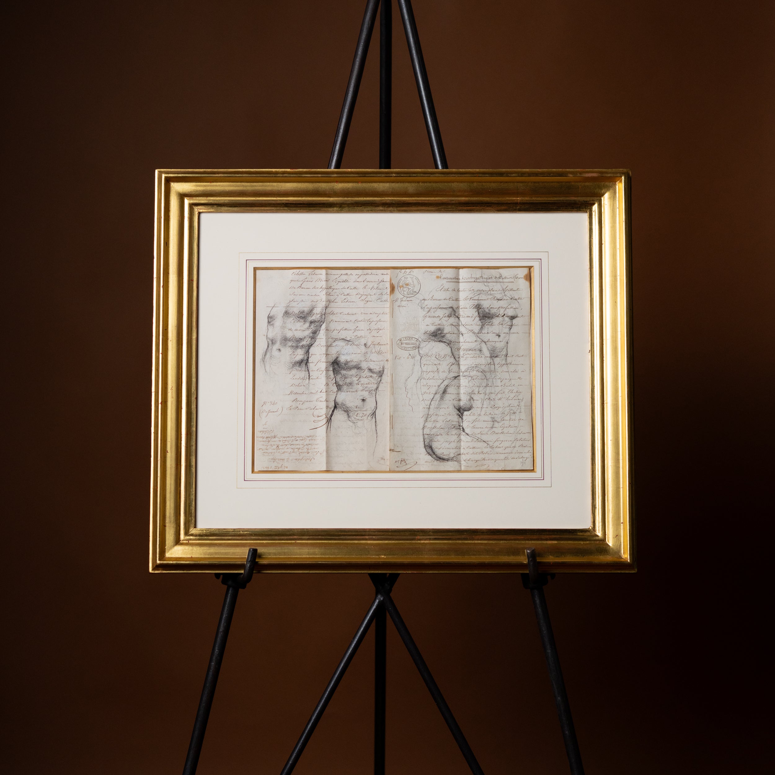 Two Male and Four and a Half Female Torsos by Jill Hooper